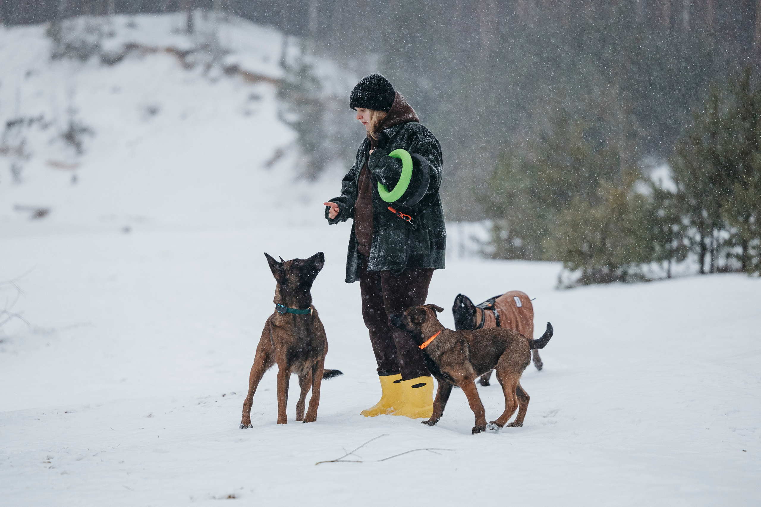 Карьер. Фотограф-анималист Анна Маринич
