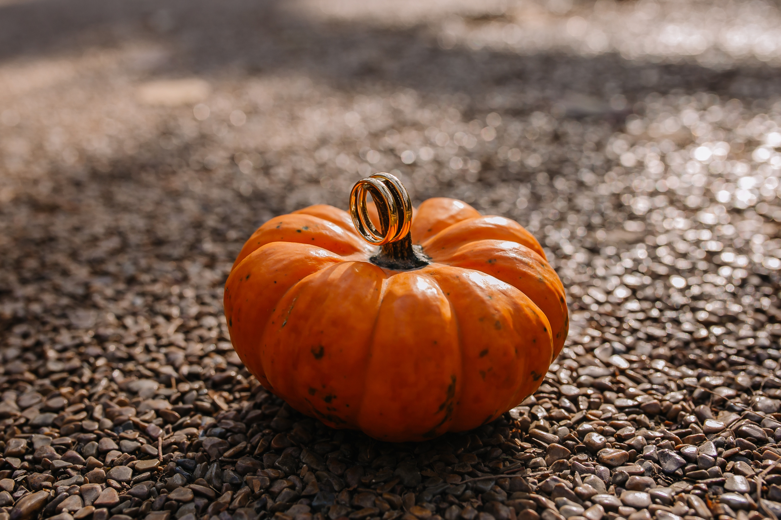 Осень и Любовь на Двоих…. Свадебный и семейный фотограф в Алматы Laura Dosmann
