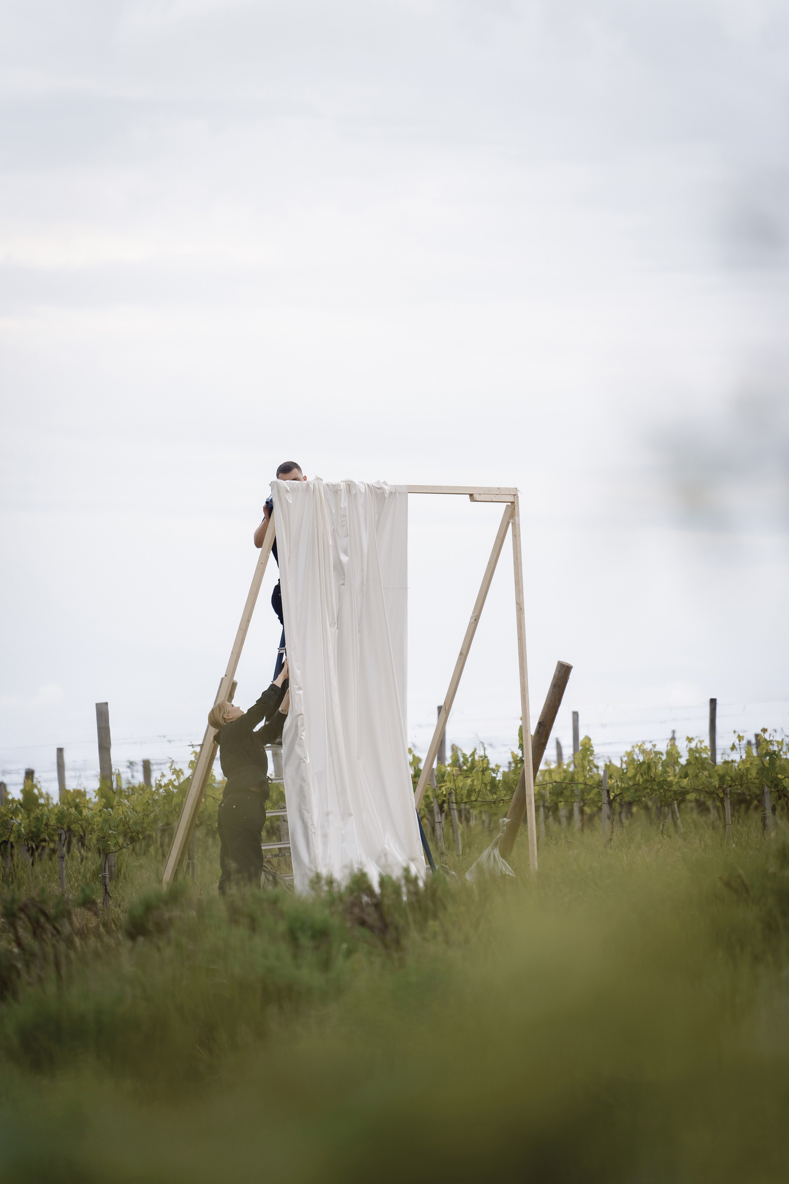 Подготовка фотозоны в виноградниках Анапы