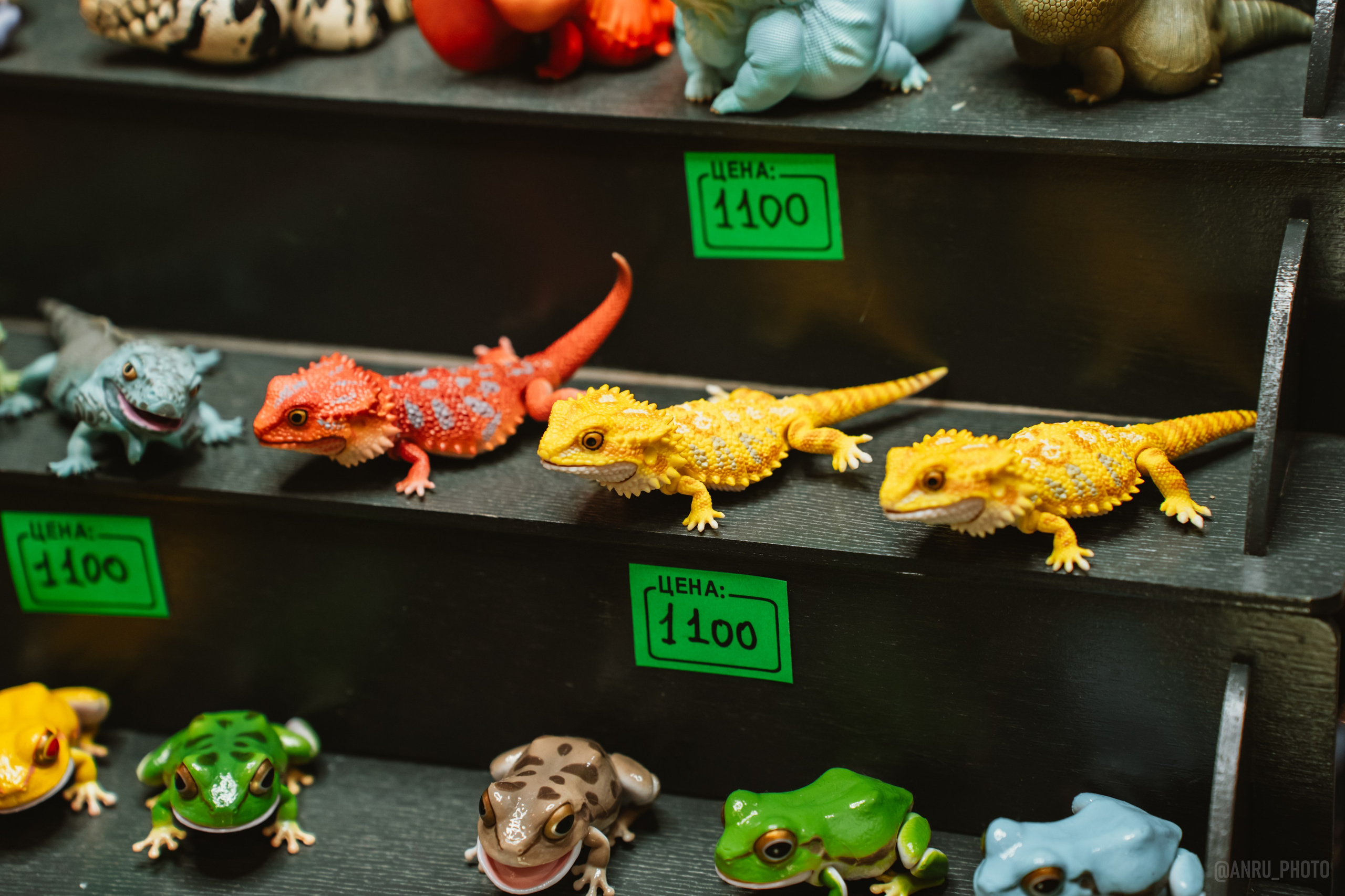 Рептилиум (ручная работа). Репортажный фотограф Анастасия Рубцова