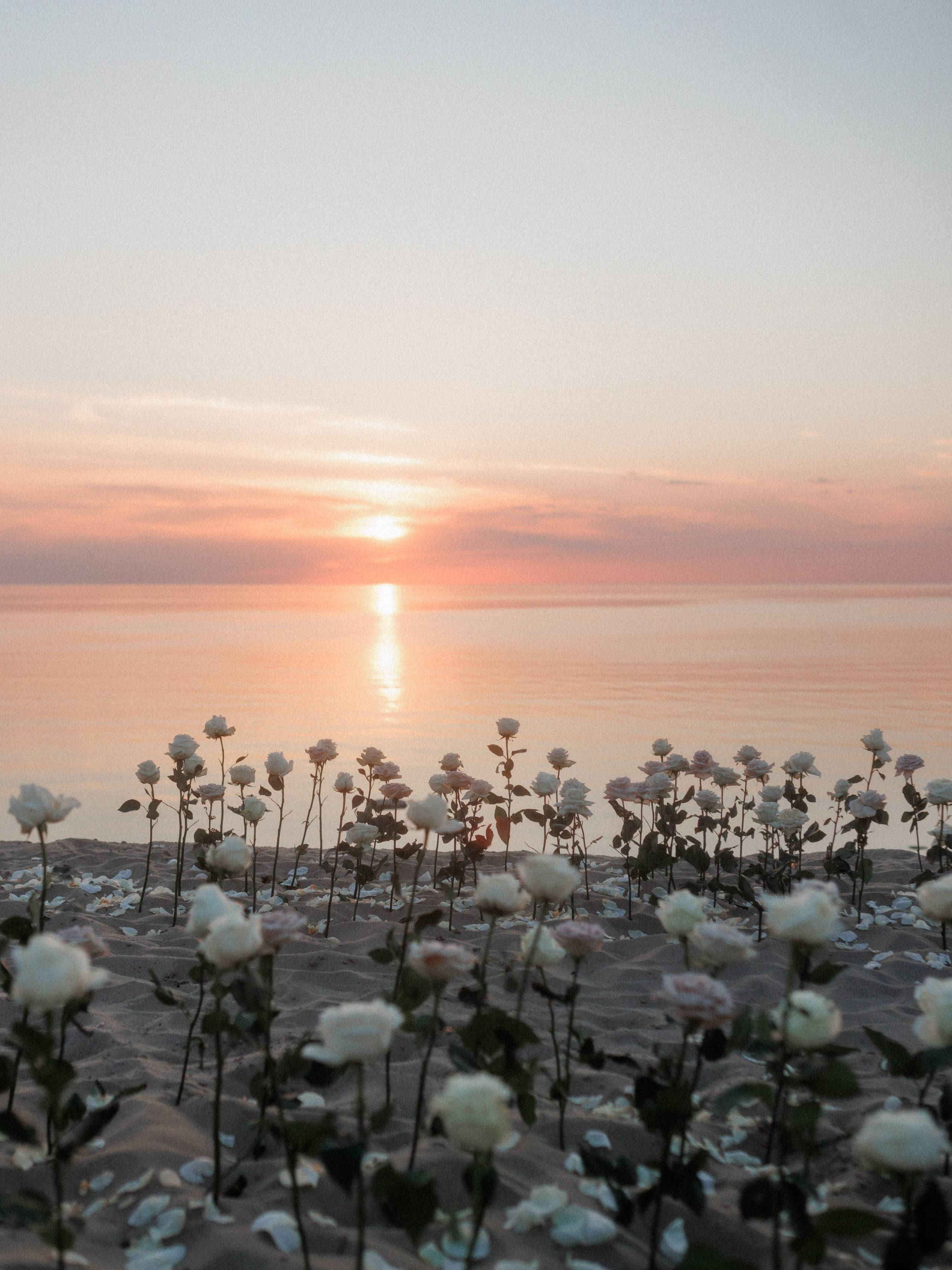«И мир перевернулся». Свадебный и семейный фотограф в Калининграде Ольга Мешечкова