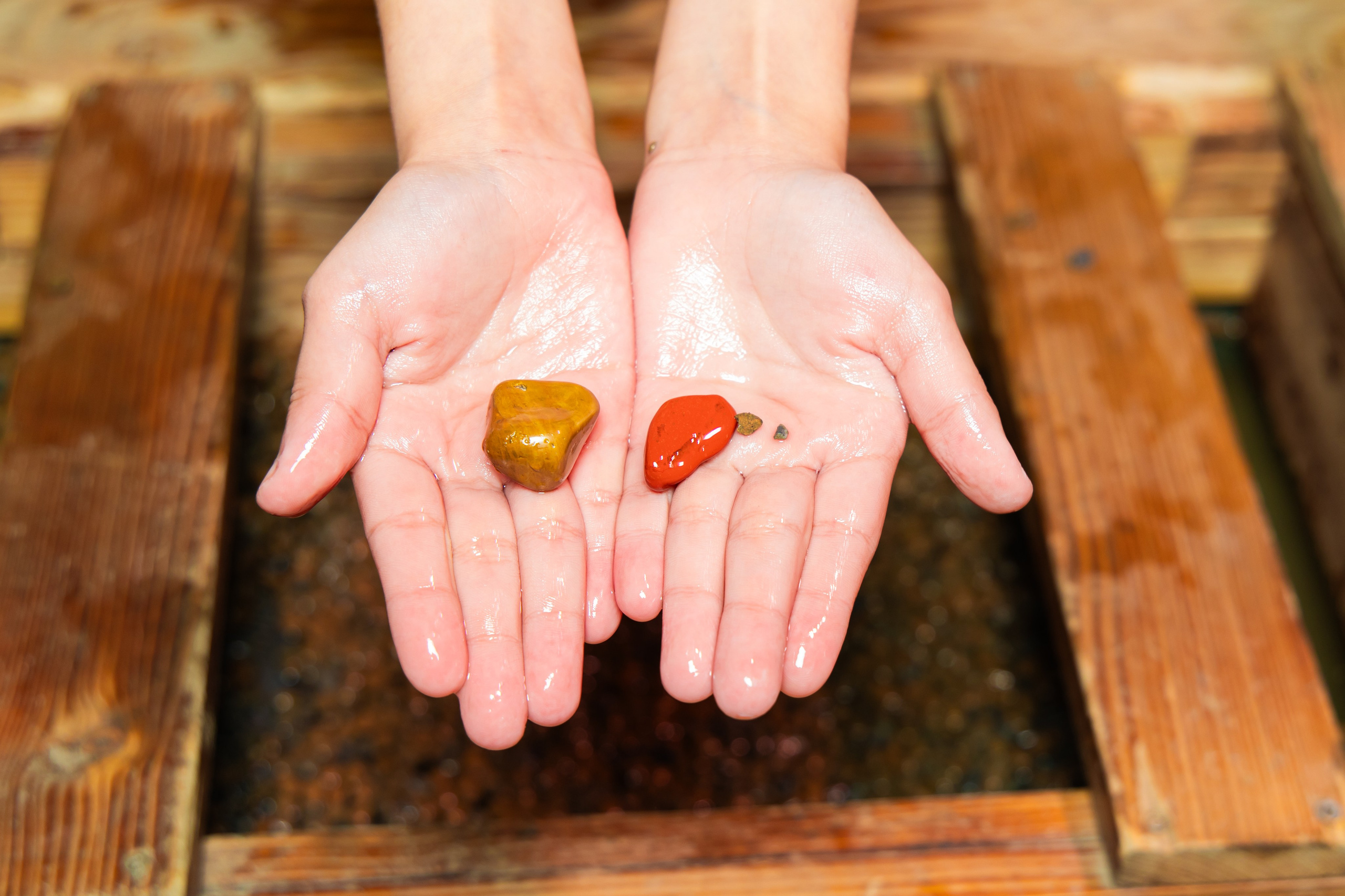 Золотая лихорадка 04/04 Vegas. Виктория Литвинова репортажный фотограф Москва