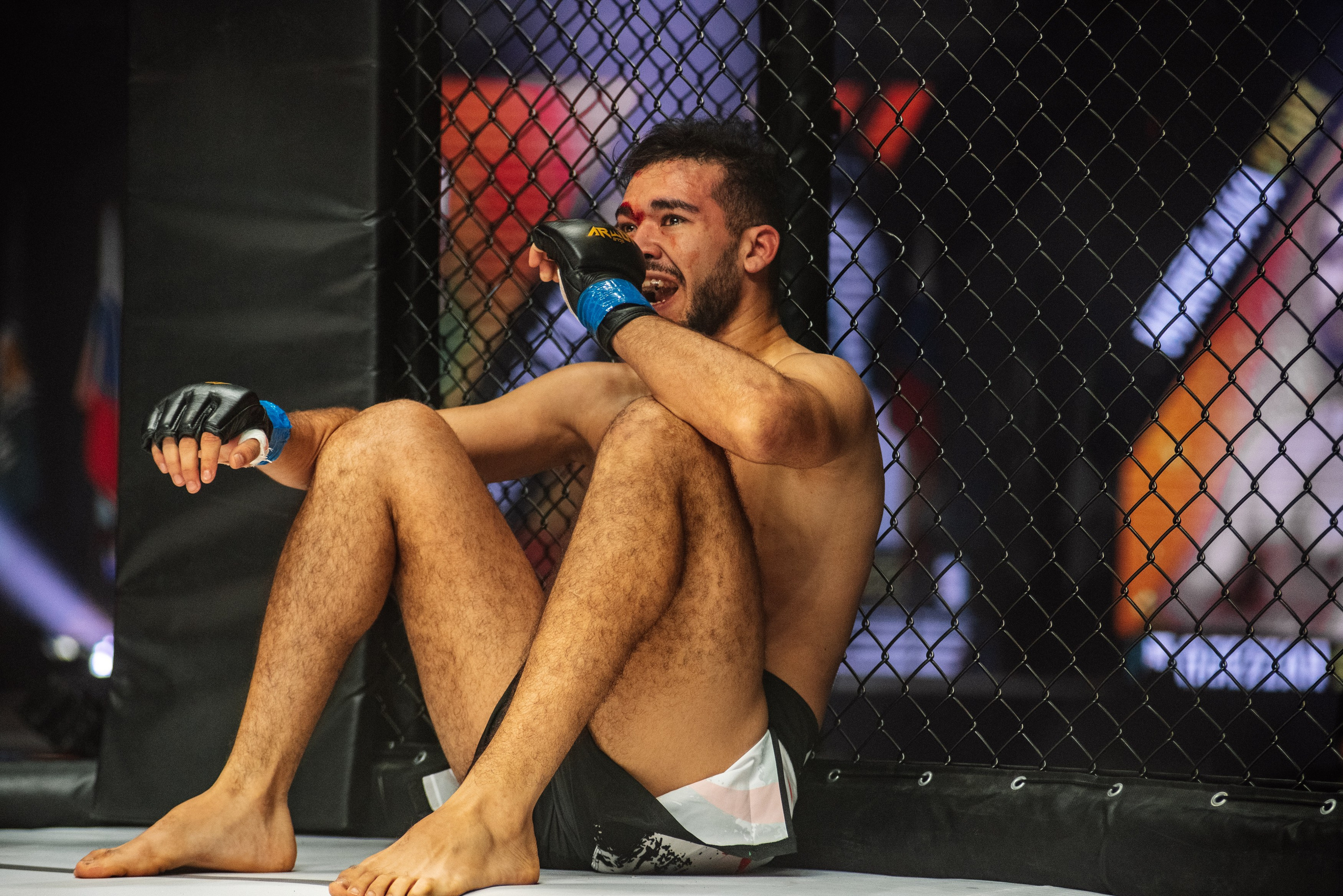 Miroslava Fight