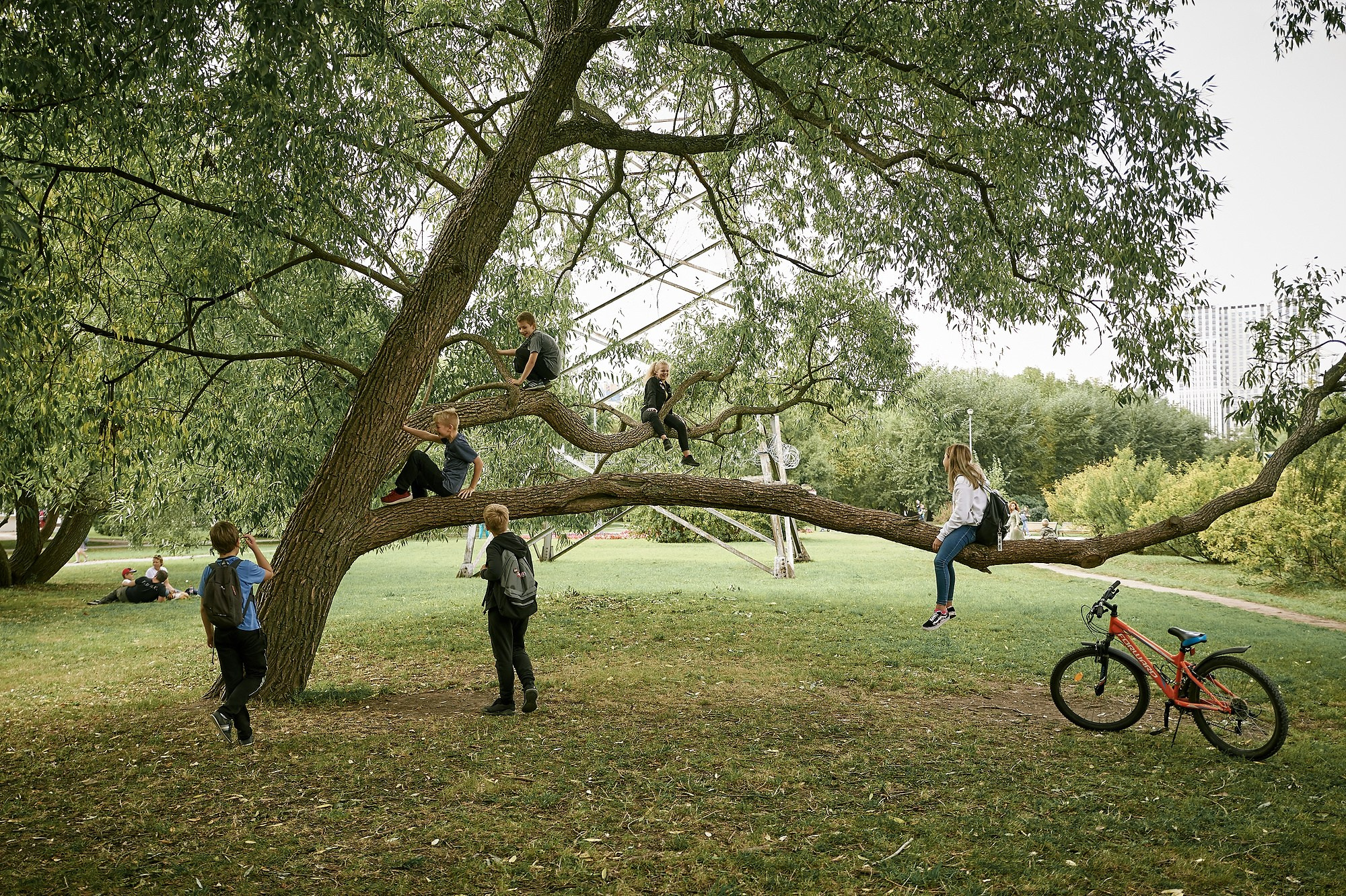Уличная и жанровая фотография | Виктор Молодцов. Промышленная и репортажная фотография