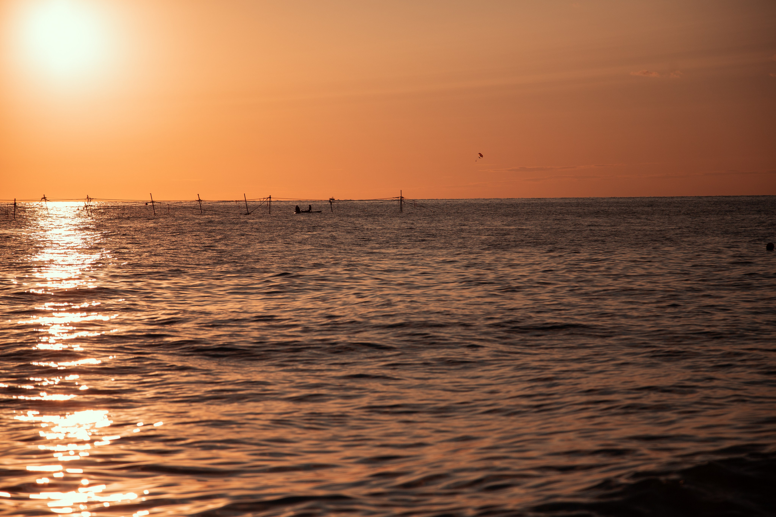 Она сказала «Да». Семейный фотограф в Сочи, Лоо, Дагомысе, Вардане Кучумова Олеся
