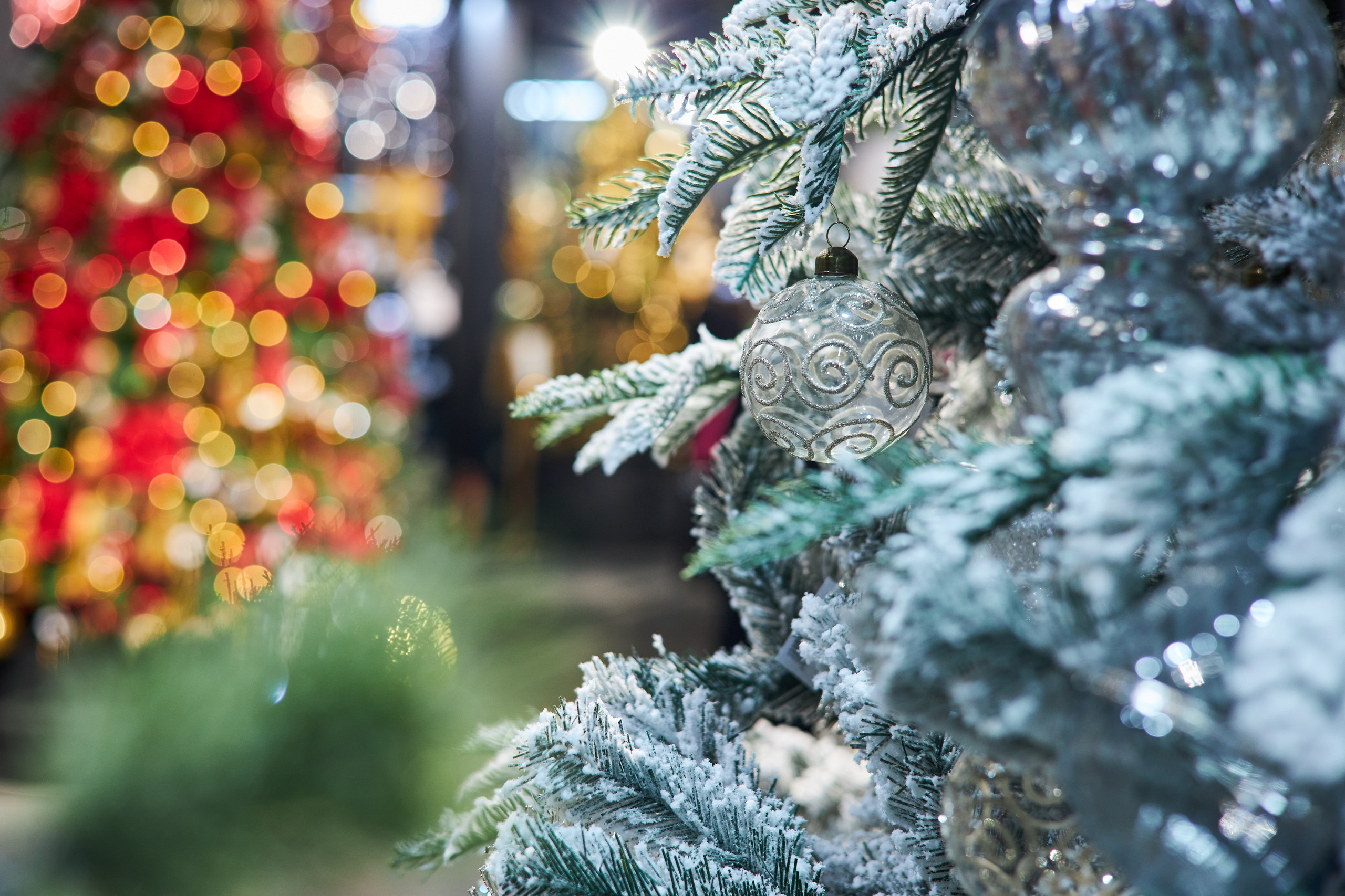 Best decor place. Фотограф Сергей Склемин