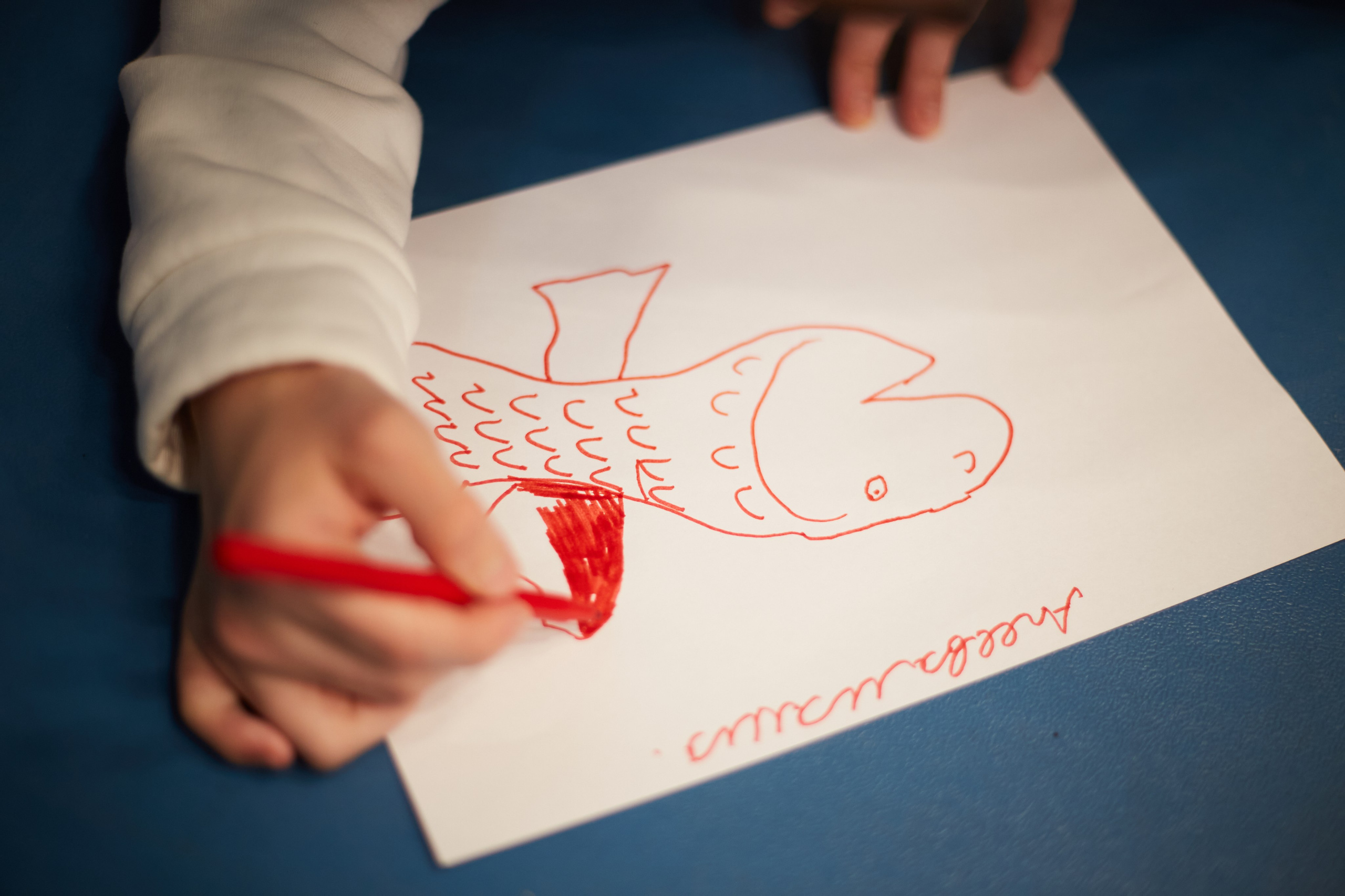 Особенный заплыв, Аксай, дворец спорта. Фотограф Зиновьев Михаил. Фотограф Зиновьев Михаил