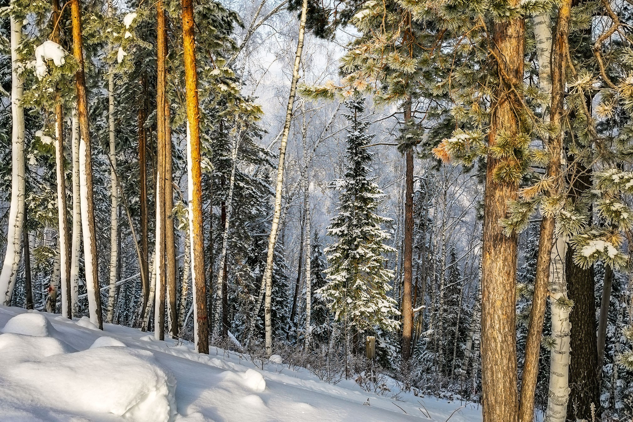 Пейзажная съемка. Фотограф в Саяногорске, Абакане Владимир Воробьев