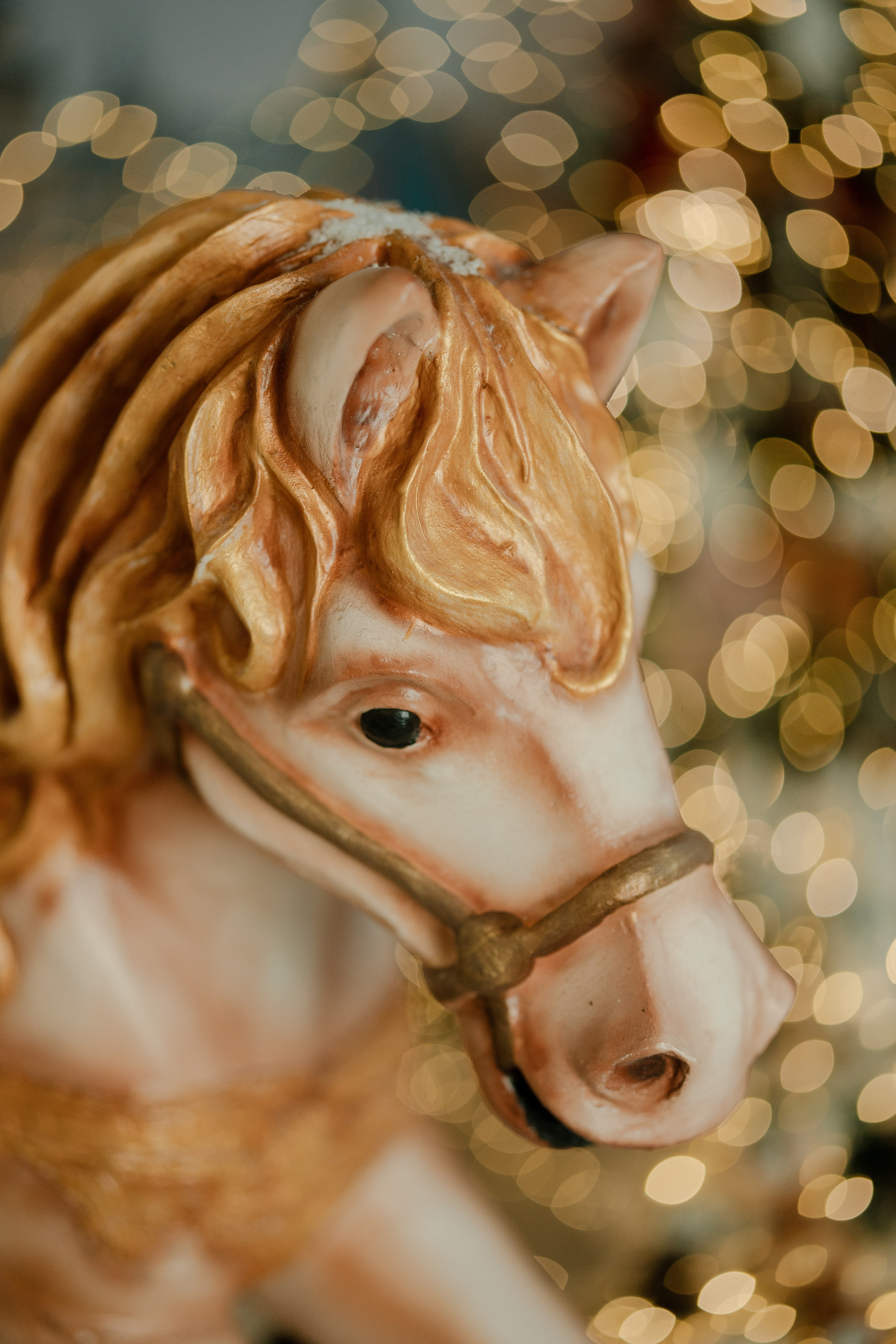 Фотопроекты