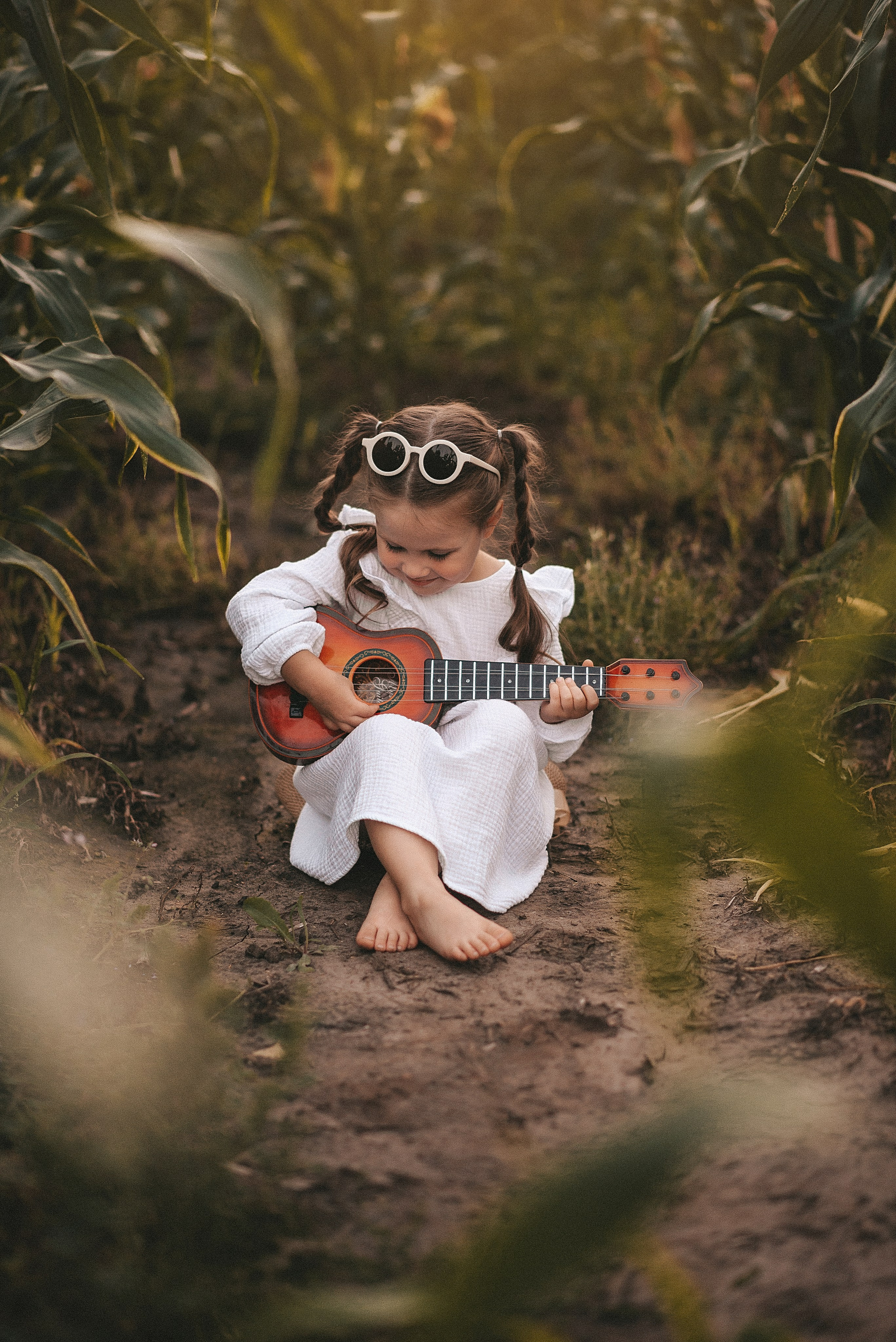 На солнце вдоль рядов кукурузы…. Ваш фотограф Ирина Гущанская