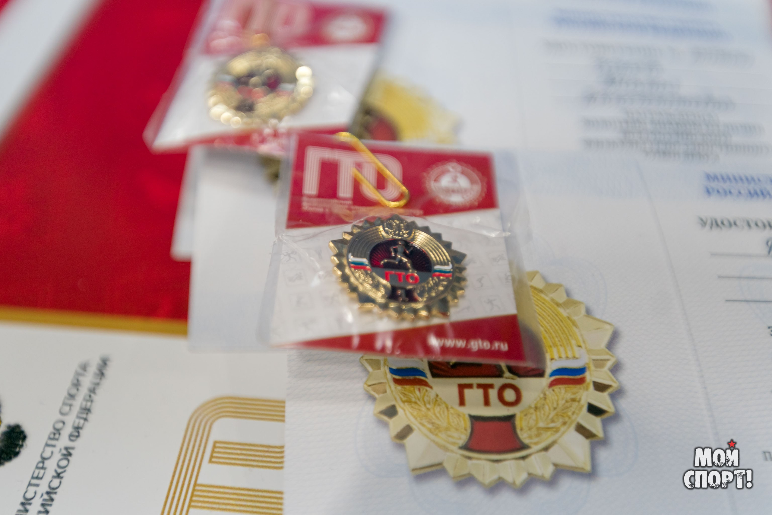 Торжественная церемония вручения знаков отличия «ГТО». Студия «Мой Спорт!» — все о спорте в Якутии