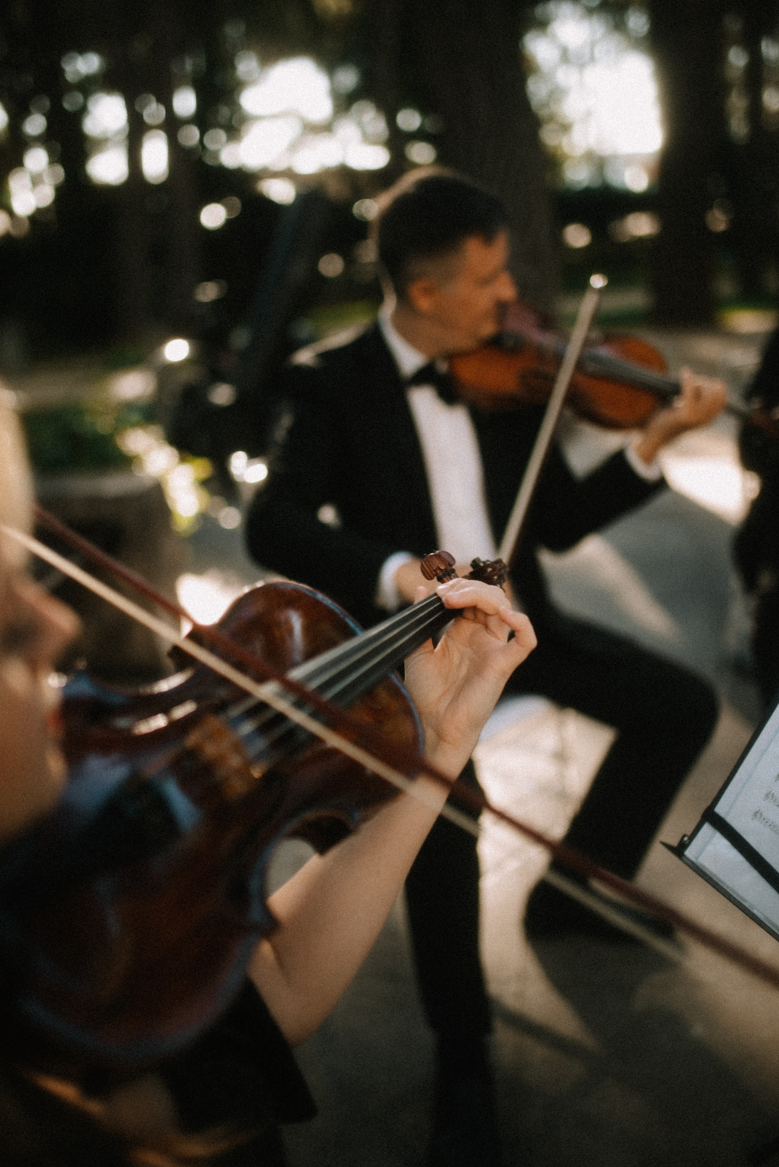 Александр и Виктория | Полный свадебный день. Выступала в качестве второго фотографа. Фотограф Санкт-Петербург, Новороссийск