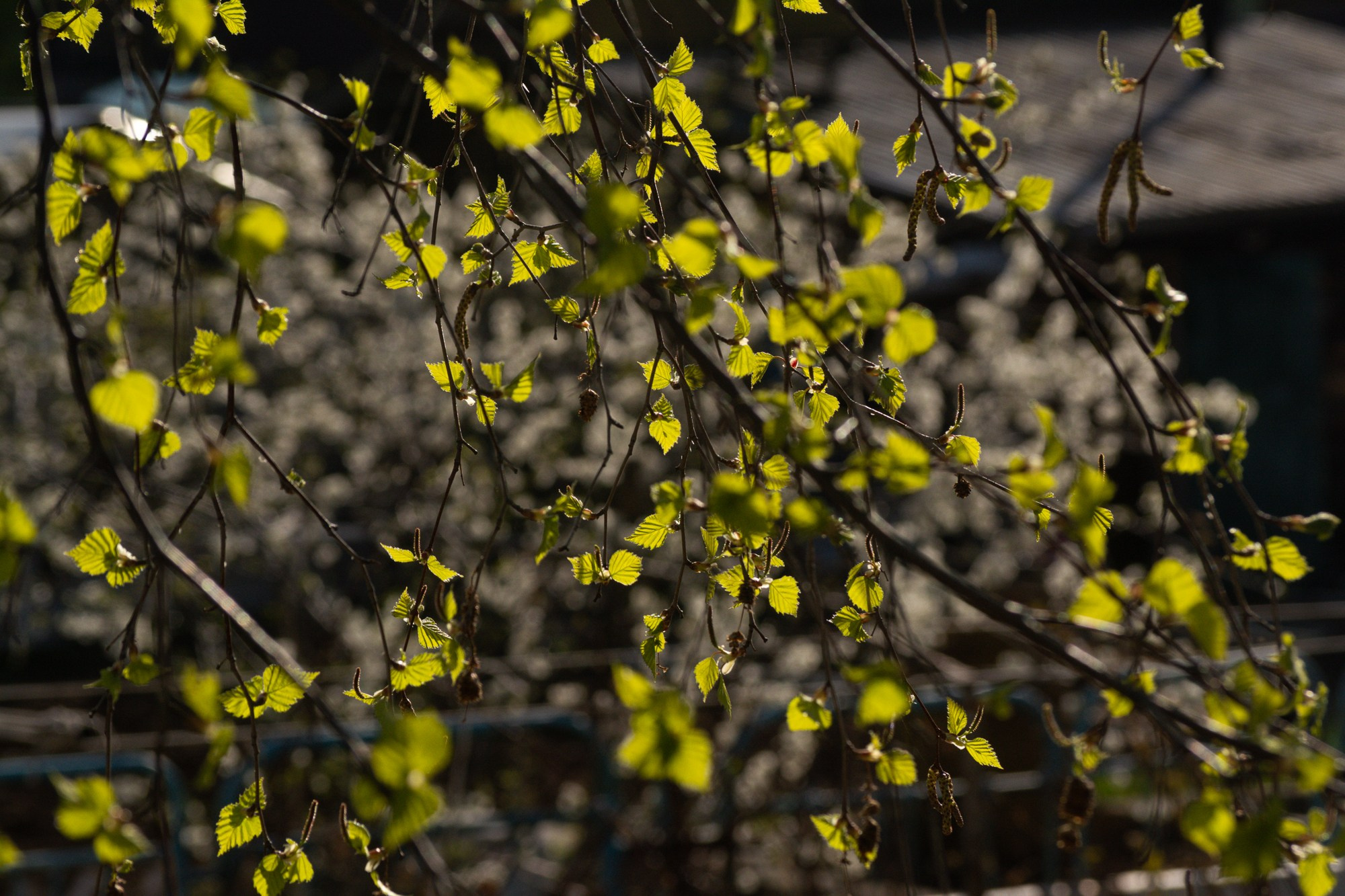 Разное. Репортажный фотограф г. Чита