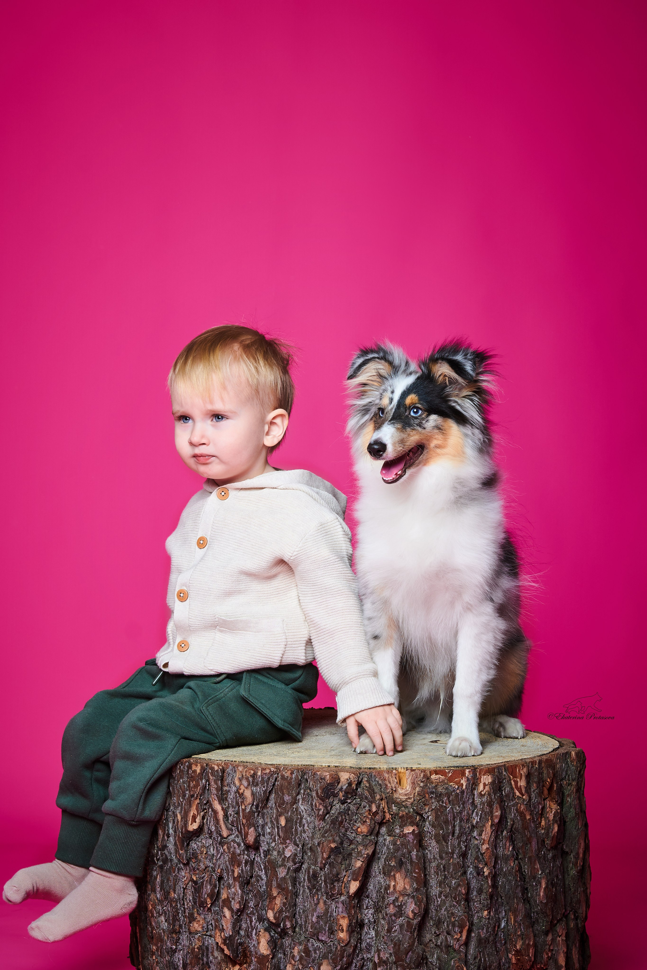 Джек и его семья. Фотограф-анималист в Иркутске