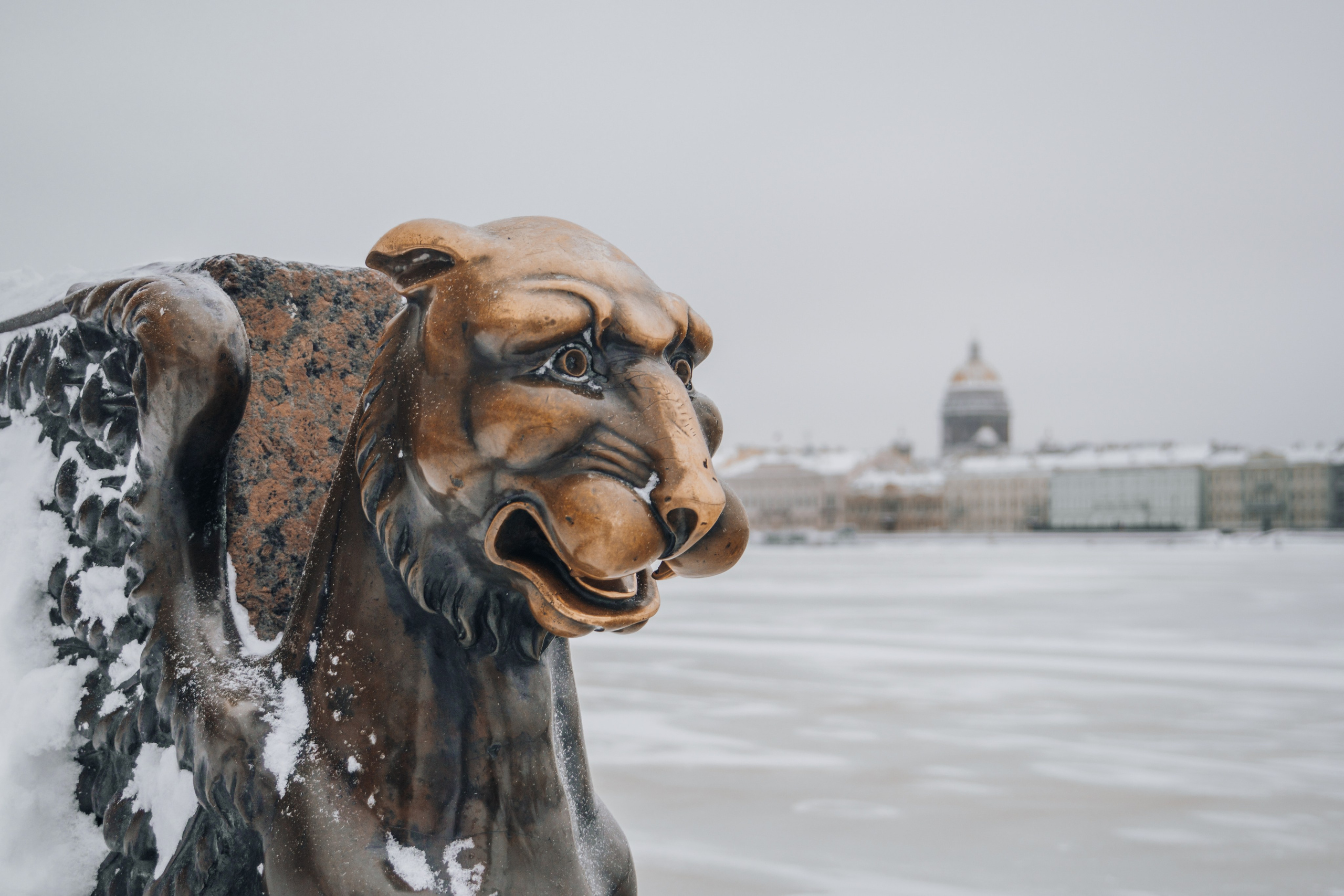 Зимний Петербург. Видеограф, фотограф в Санкт-Петербурге Элеонора Петрова