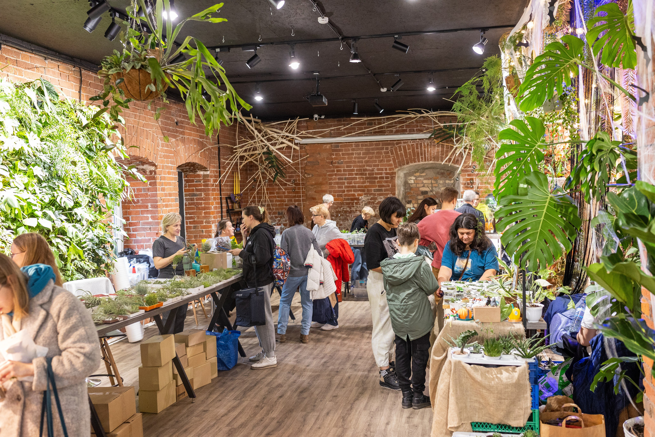 GreenRare ярмарка 2024. Александра Куликова фотограф, Москва