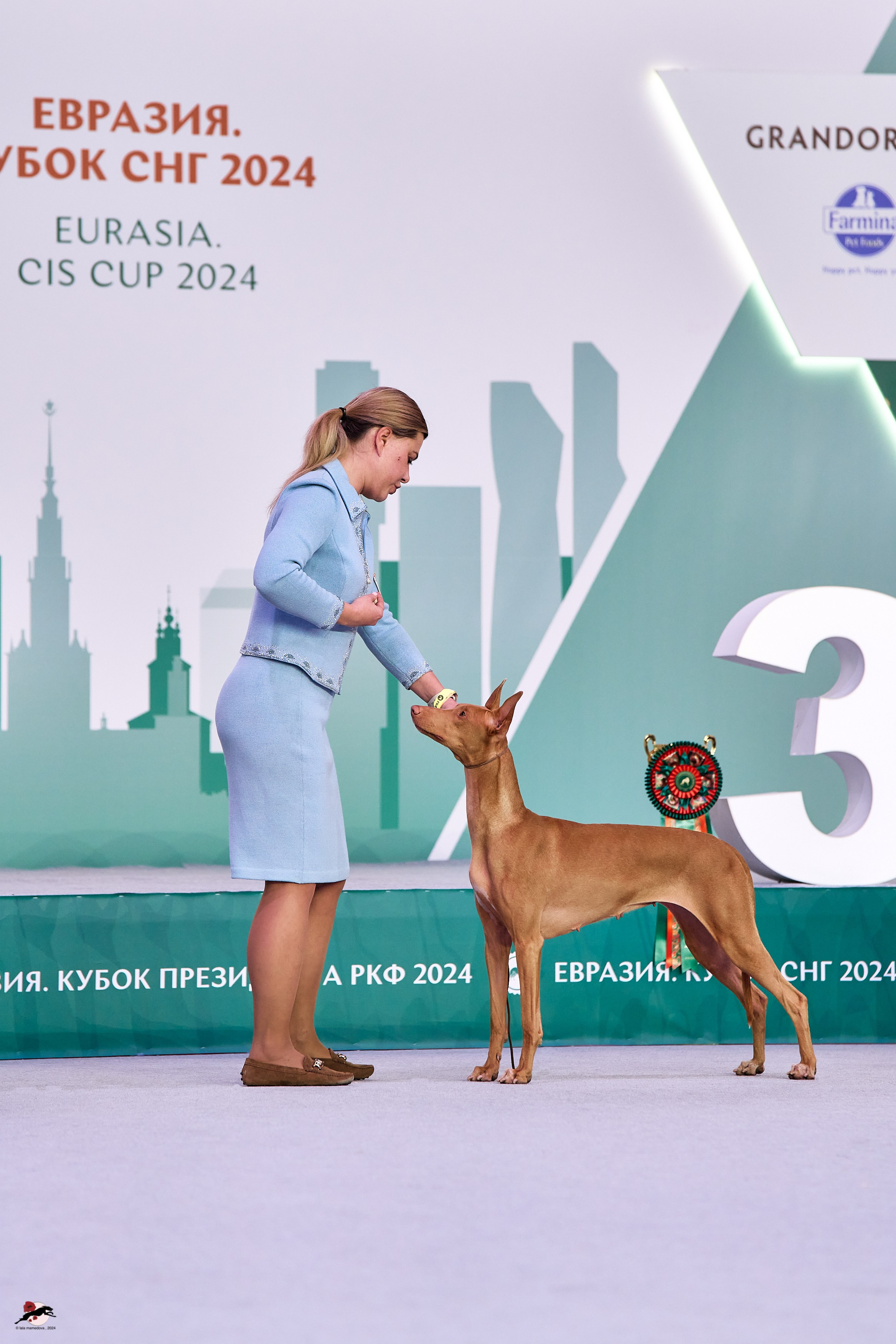 17.11.2024 «ЕВРАЗИЯ. КУБОК СНГ 2024»