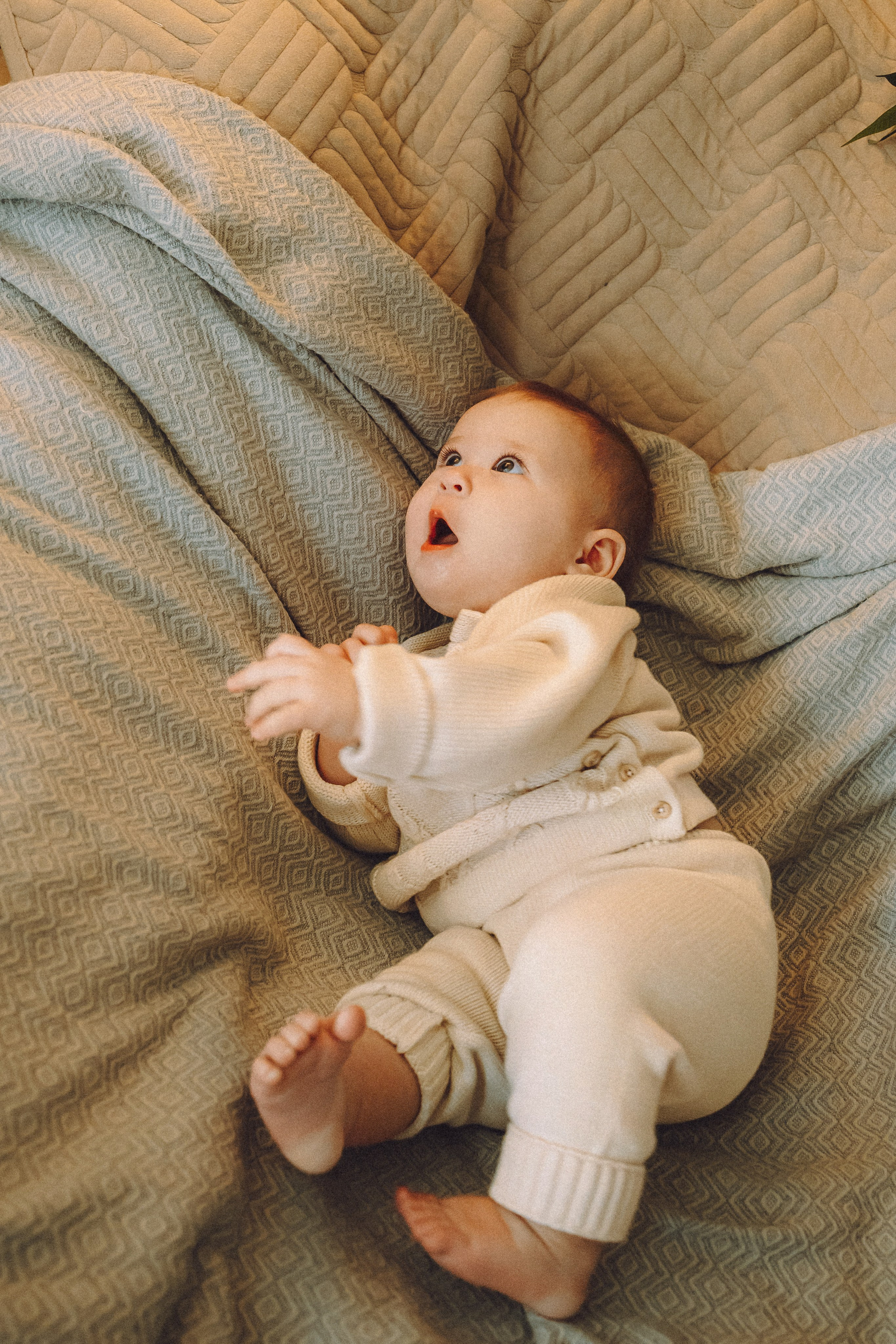 Топик и его семья