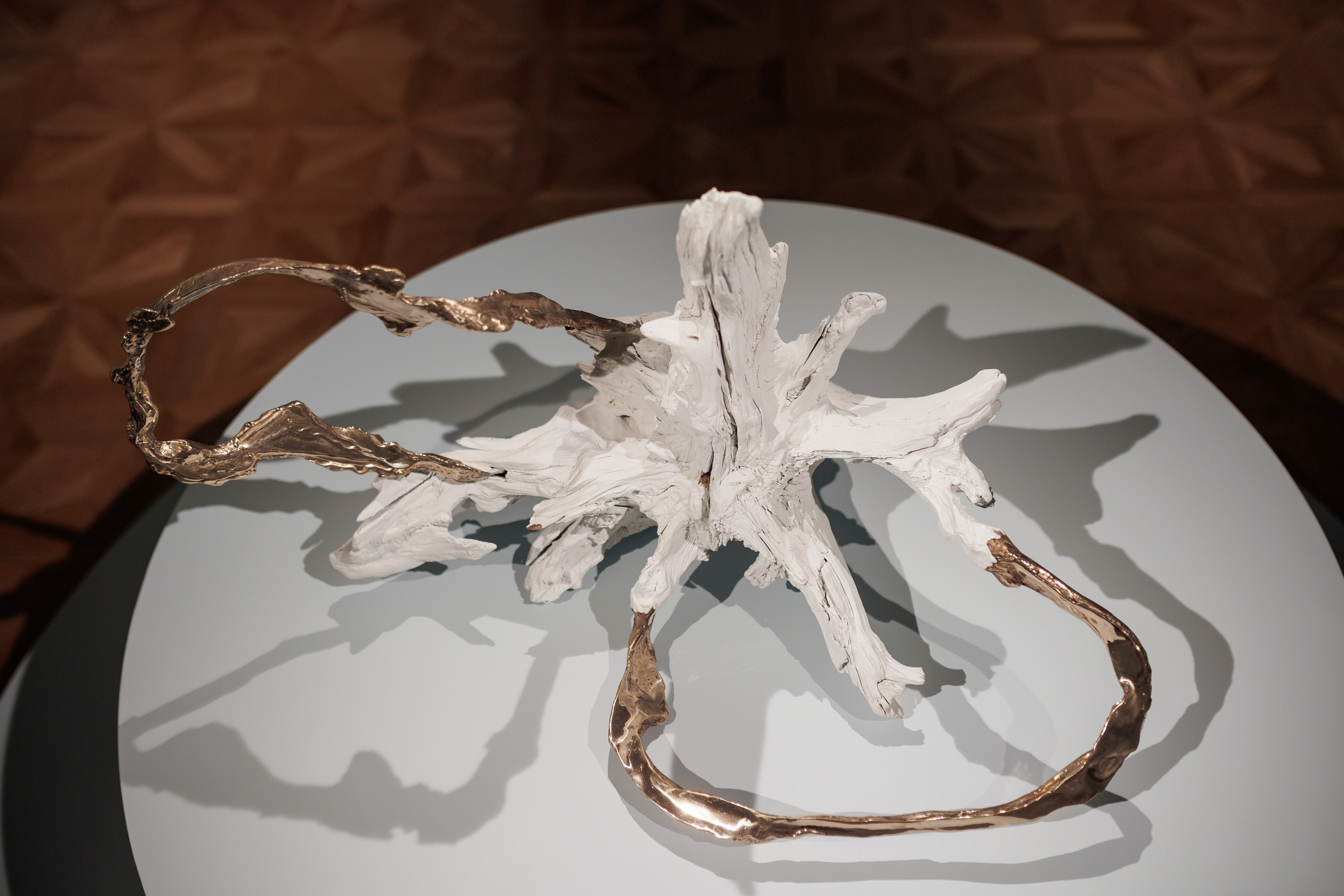 Открытие экспозиции «Путевые заметки. Привал». Фотограф городских и семейных событий Артем Карпухин