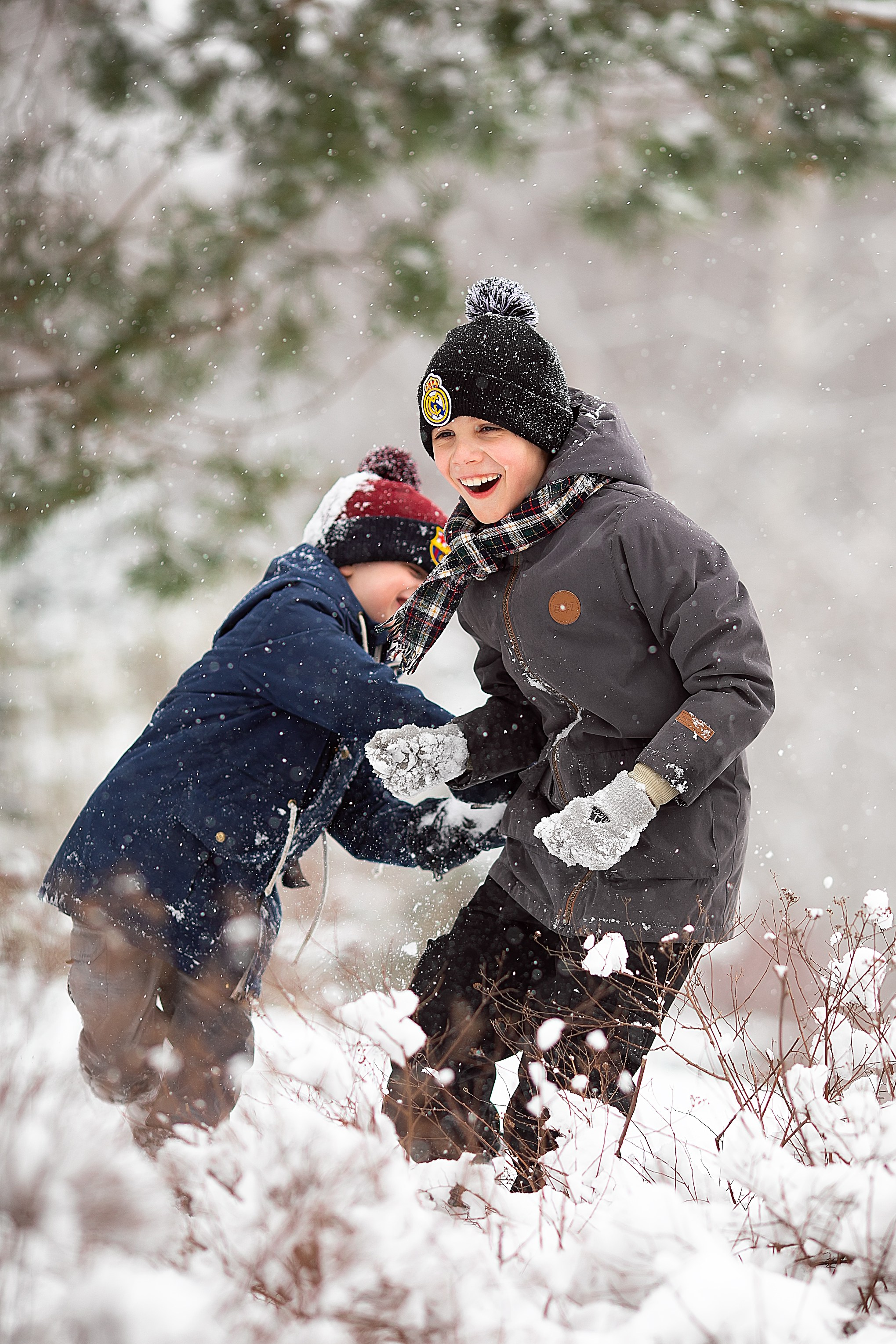 Зимняя радость. Главная