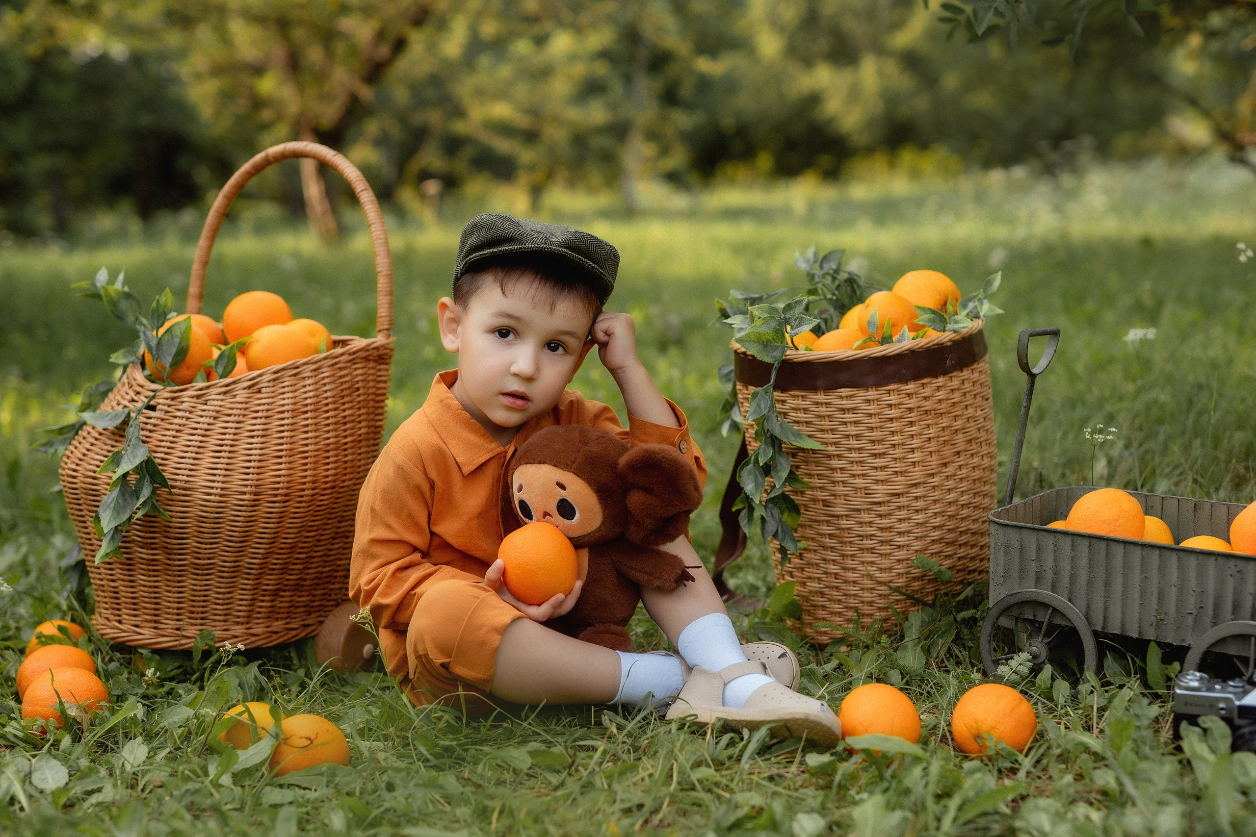 «Чебурашка». Детский и семейный фотограф в г. Ачинск Надежда Мелиоранская