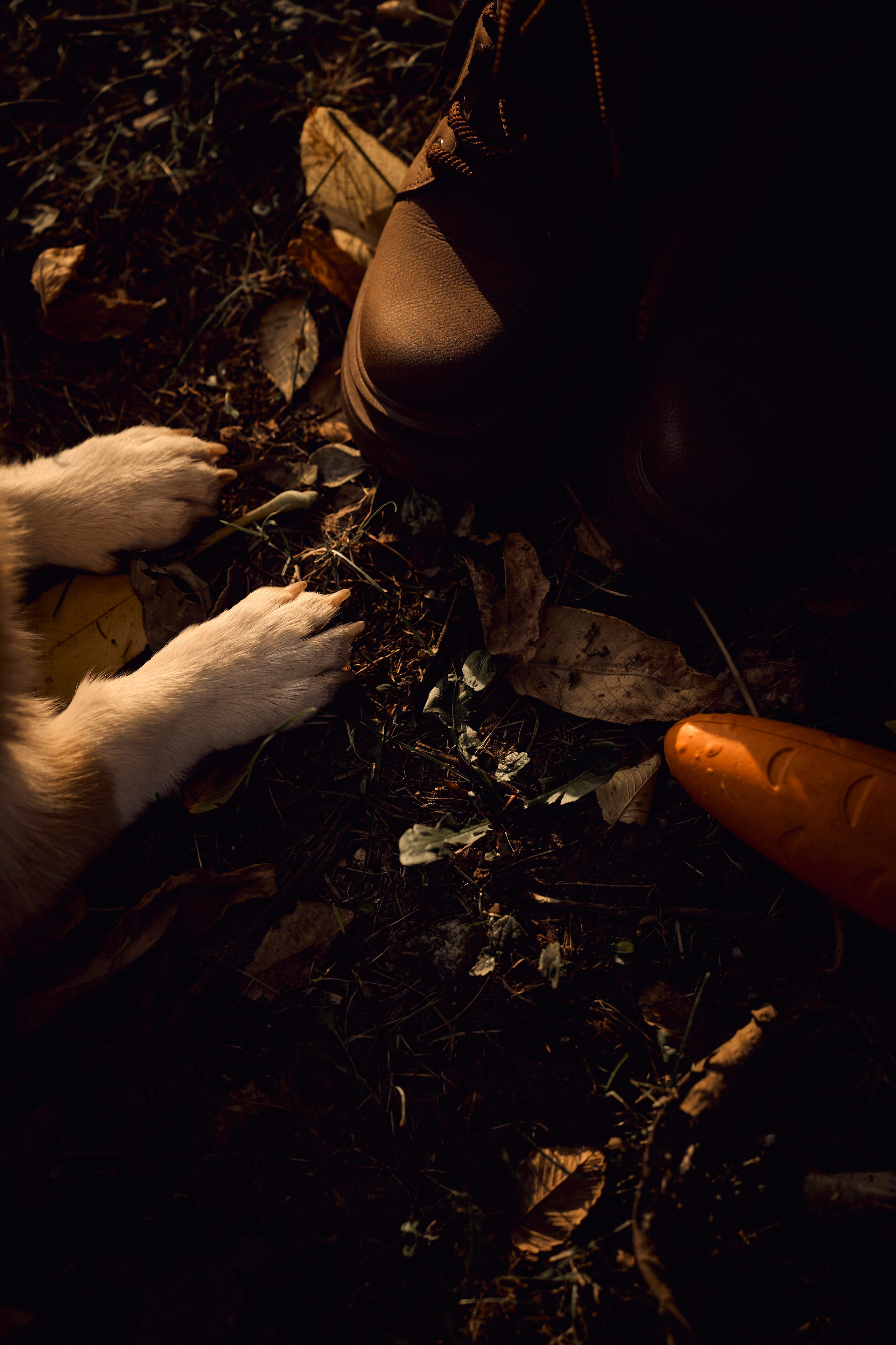 Марина. Ваш фотограф Анастасия Болотникова