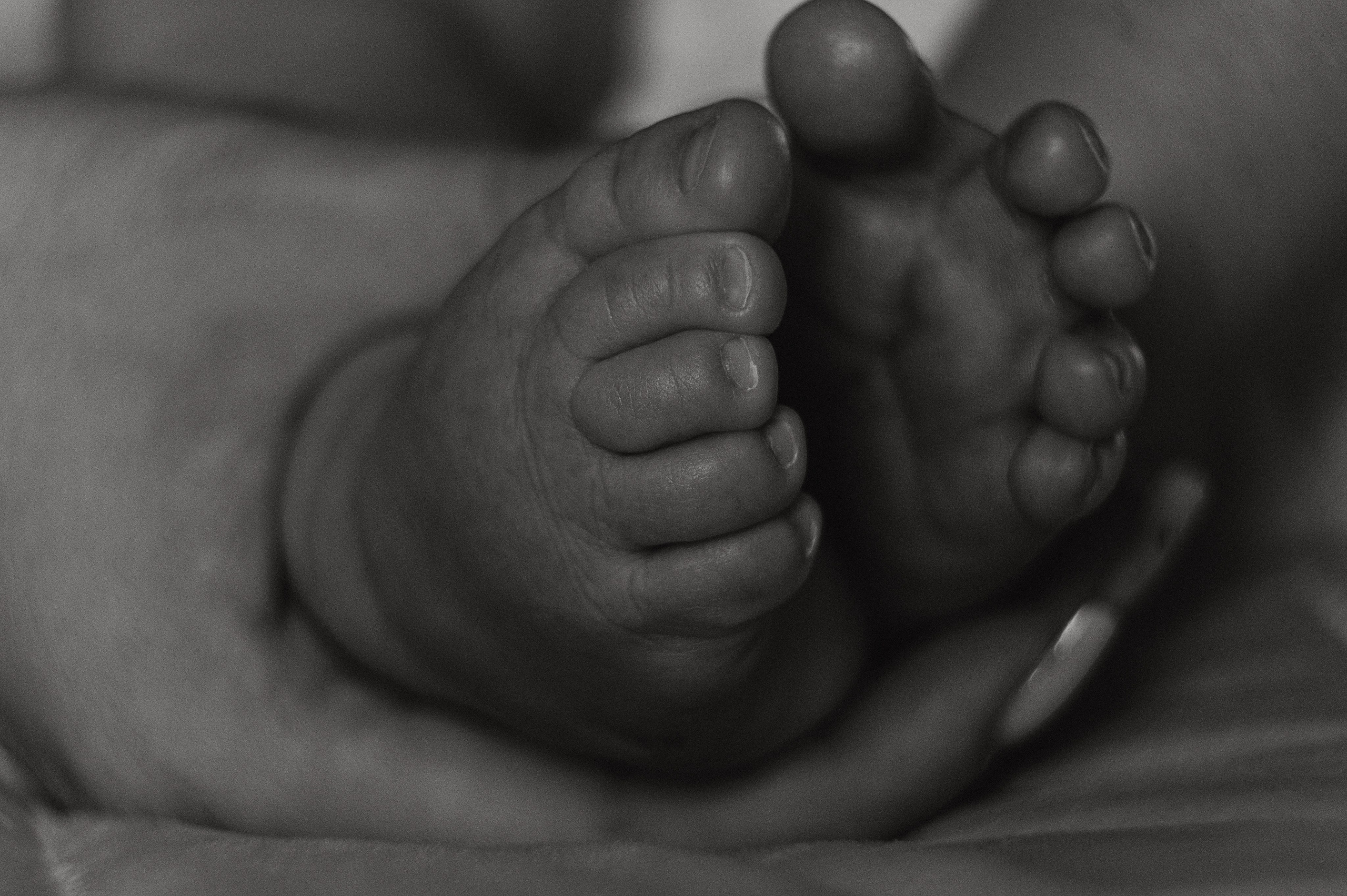 Иван, Ксения и Лев. Фотограф беременности и семьи, домашние съемки, Ньюборн