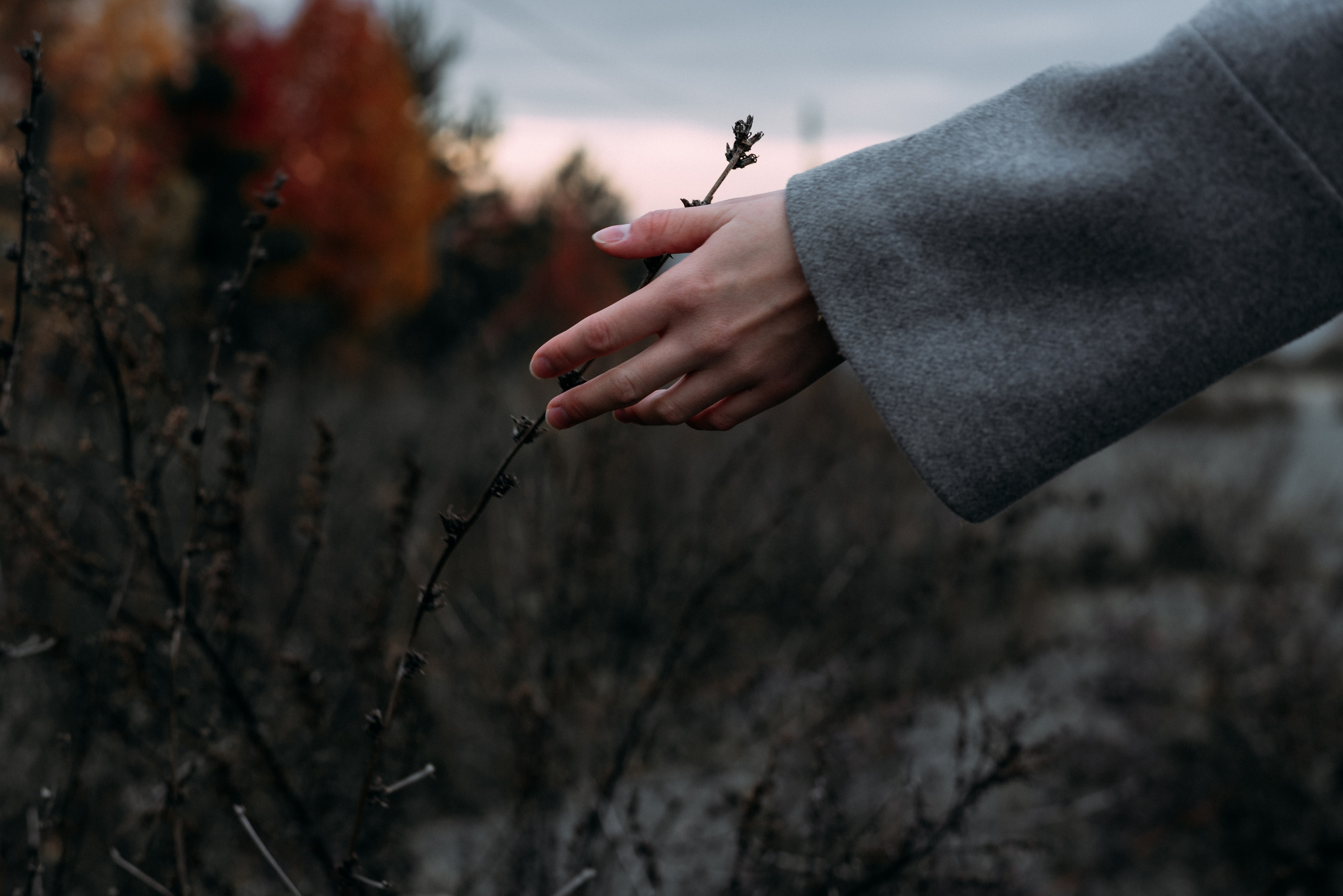Дарья. Портретный фотограф в Ереване и Челябинске Шаханская Ольга