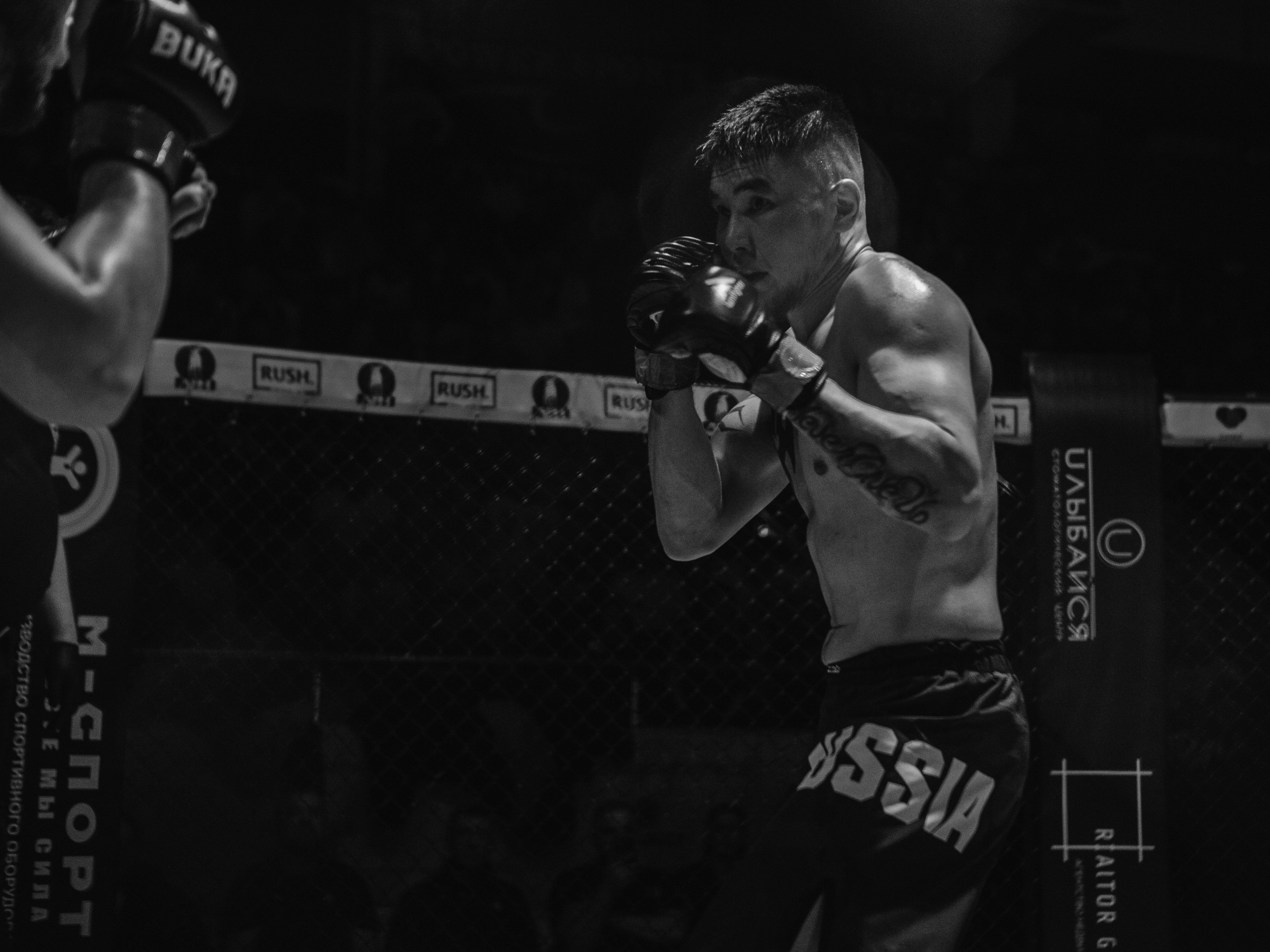 SFL 17 | Siberian Fighting League. Портретный фотограф в Москве Дарья Цезария