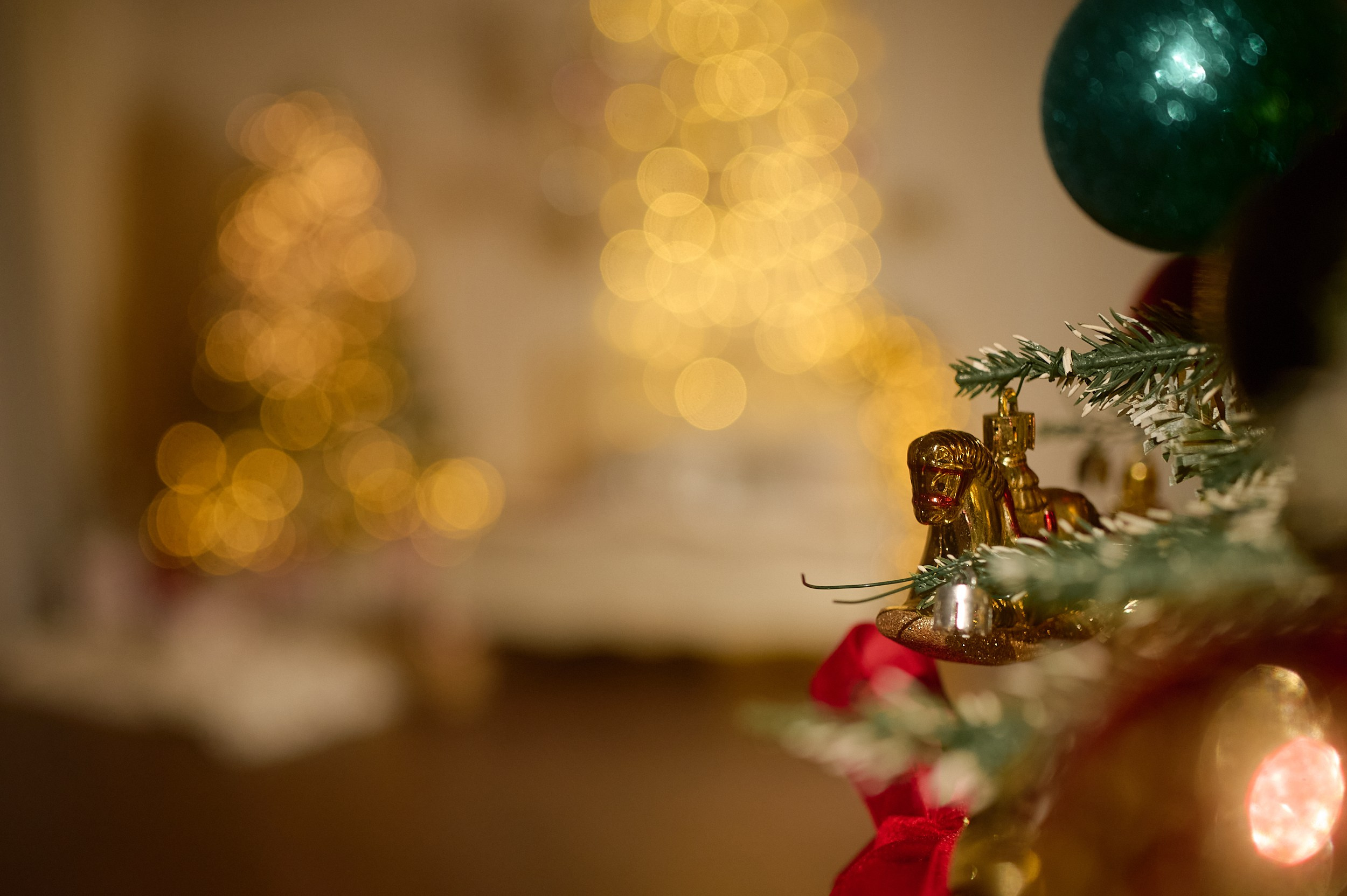 Фотостудия «Леона» зал Библиотека. Свадебный фотограф в Ростове Александра Груздева