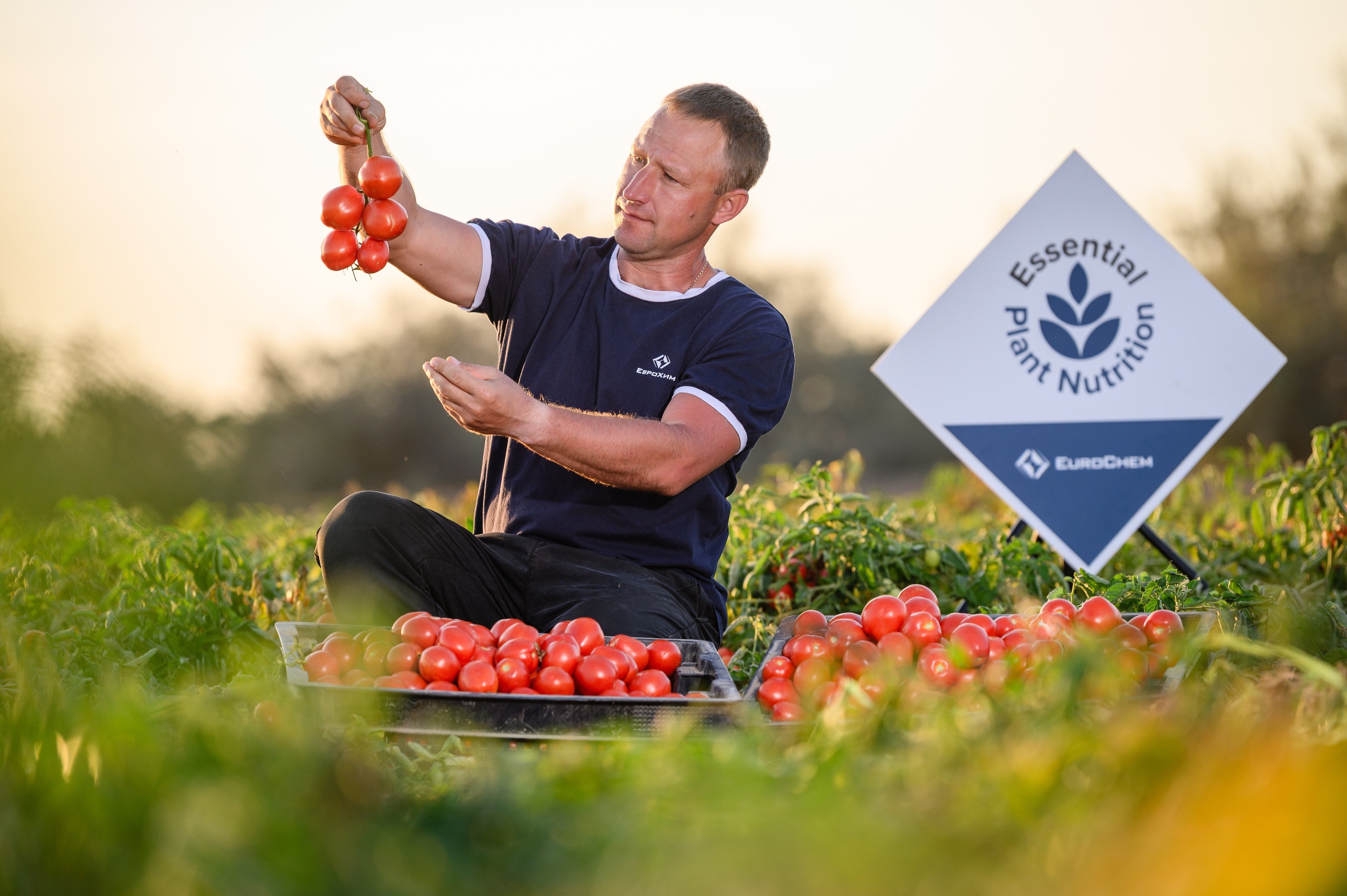 Проекты. Профессиональный фотограф Вячеслав Плацында | Липецк |