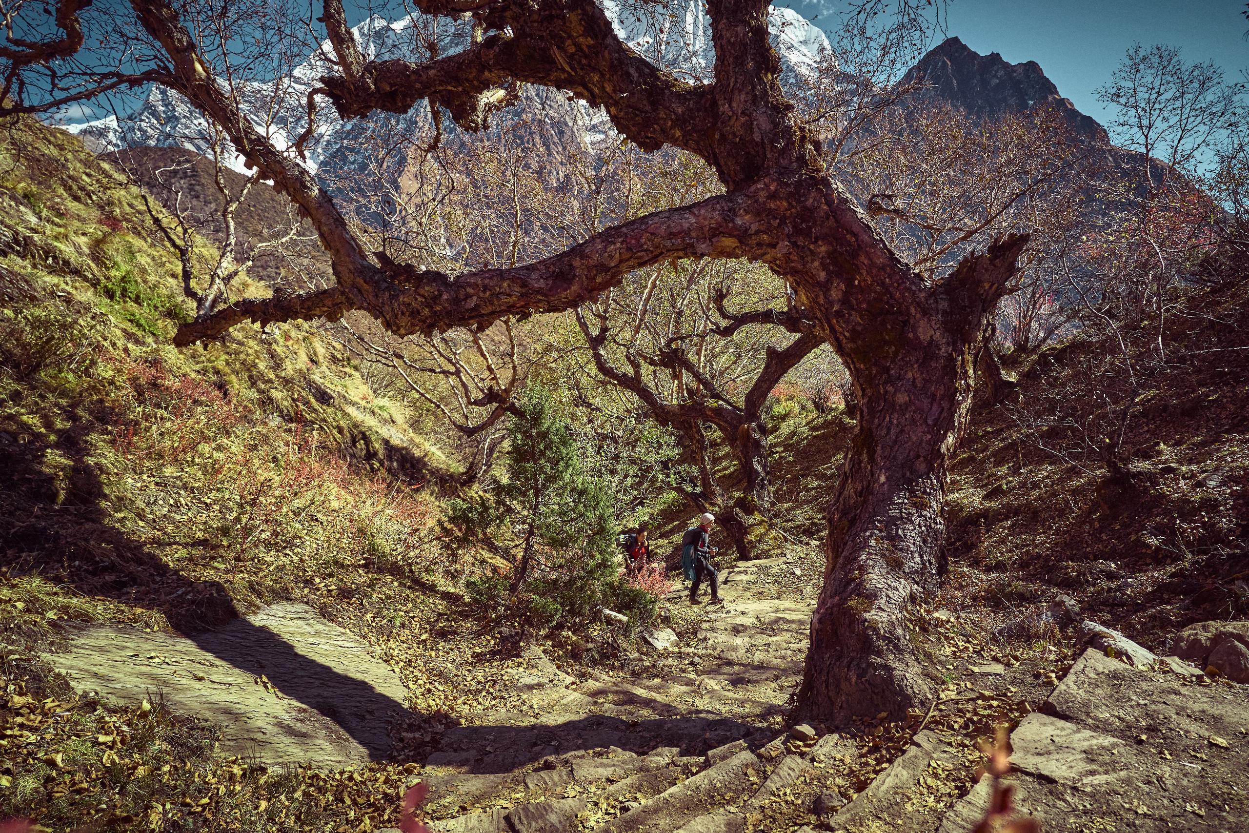 Непал. Фото