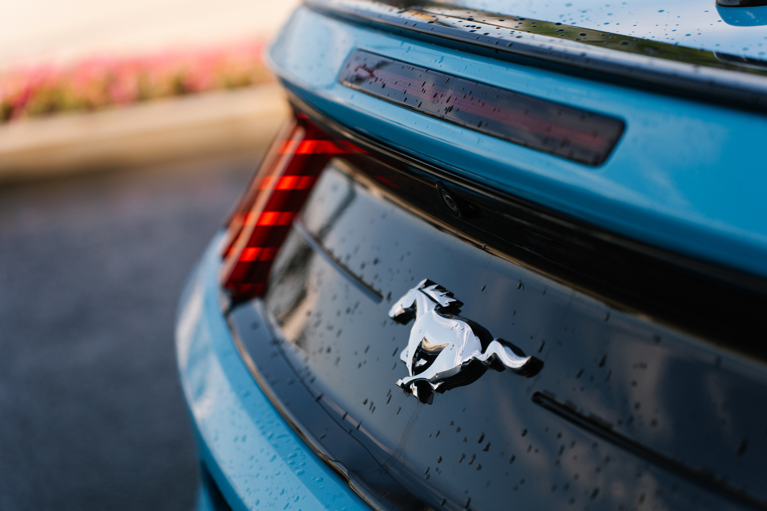 Дарья и Петр. Свадебный и семейный фотограф Кокушева Юлия Нижний Новгород