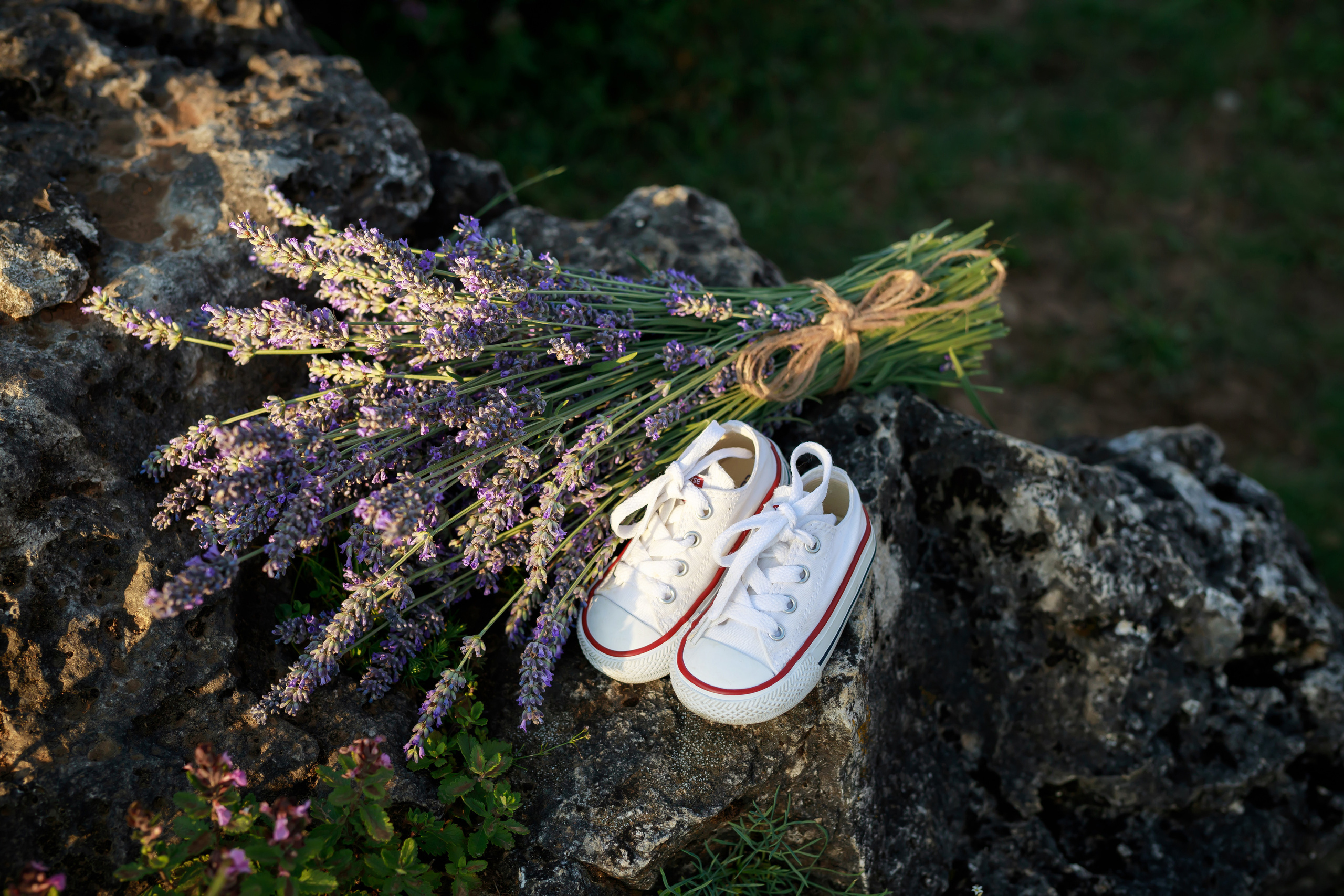 В ожидании малыша. Свадебный и семейный фотограф в г. Майкопе (выезд по республике и краю)