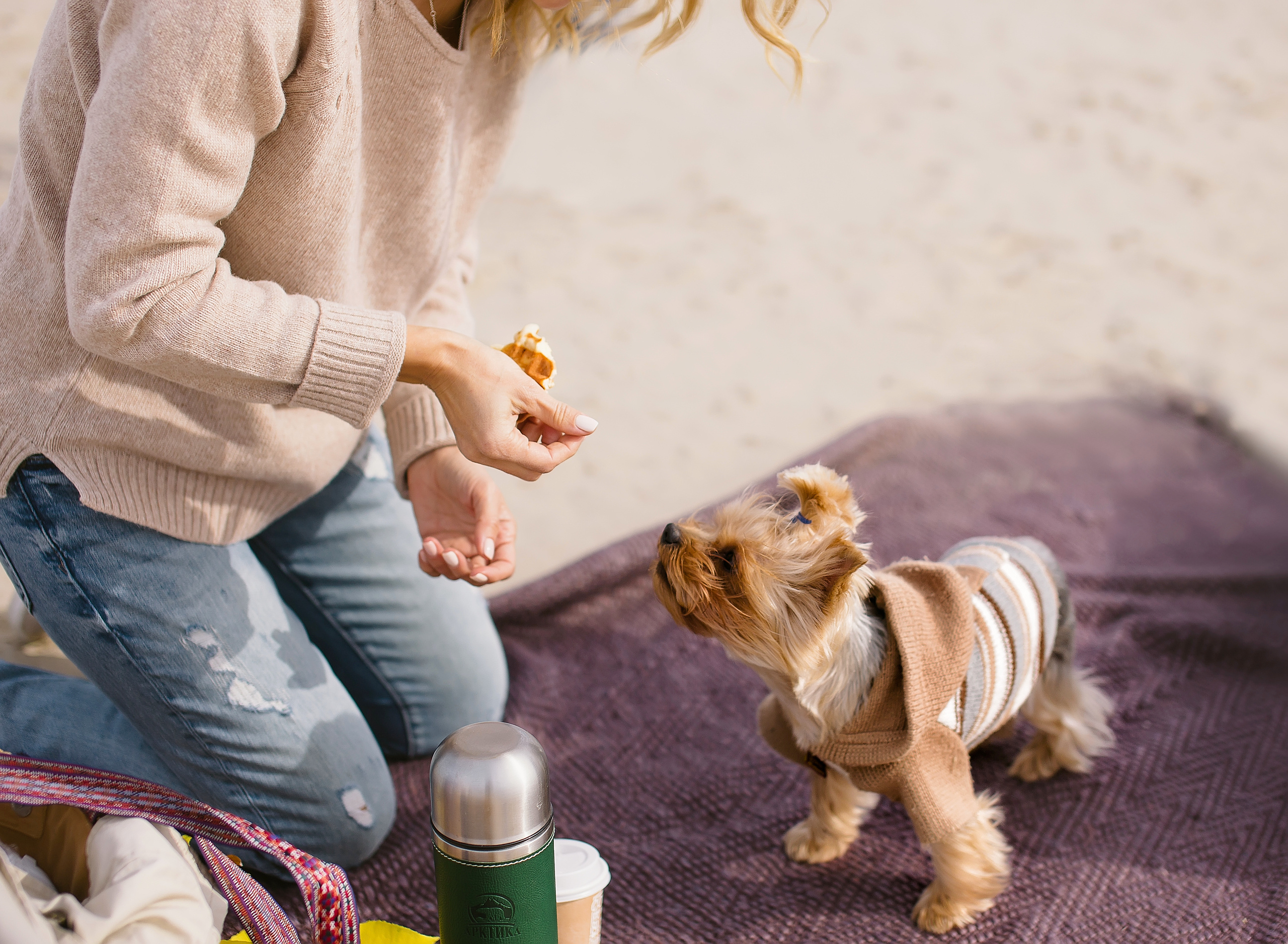 Пляж, пикник, октябрь). Детский и семейный фотограф Наталья Шигидина