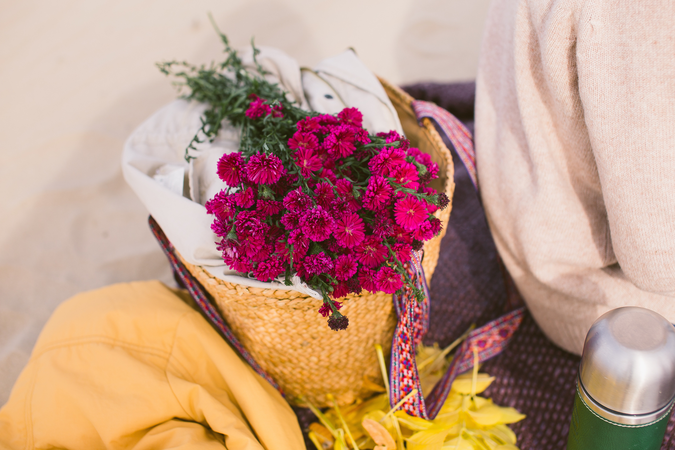 Пляж, пикник, октябрь). Детский и семейный фотограф Наталья Шигидина