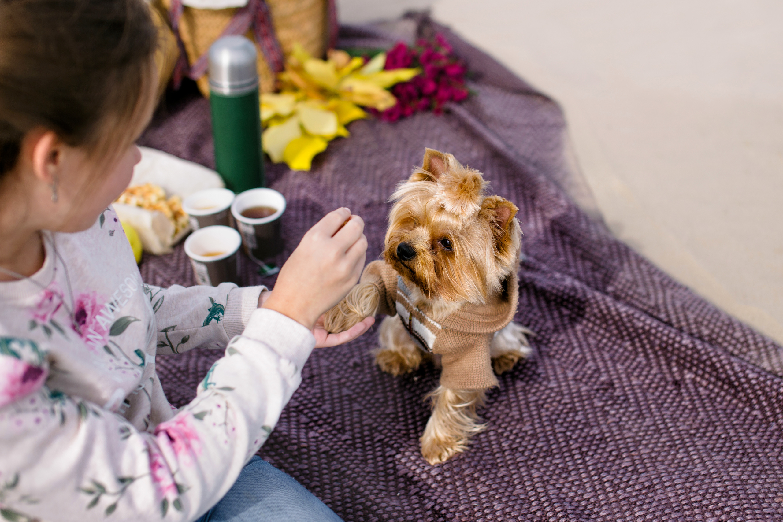 Пляж, пикник, октябрь). Детский и семейный фотограф Наталья Шигидина