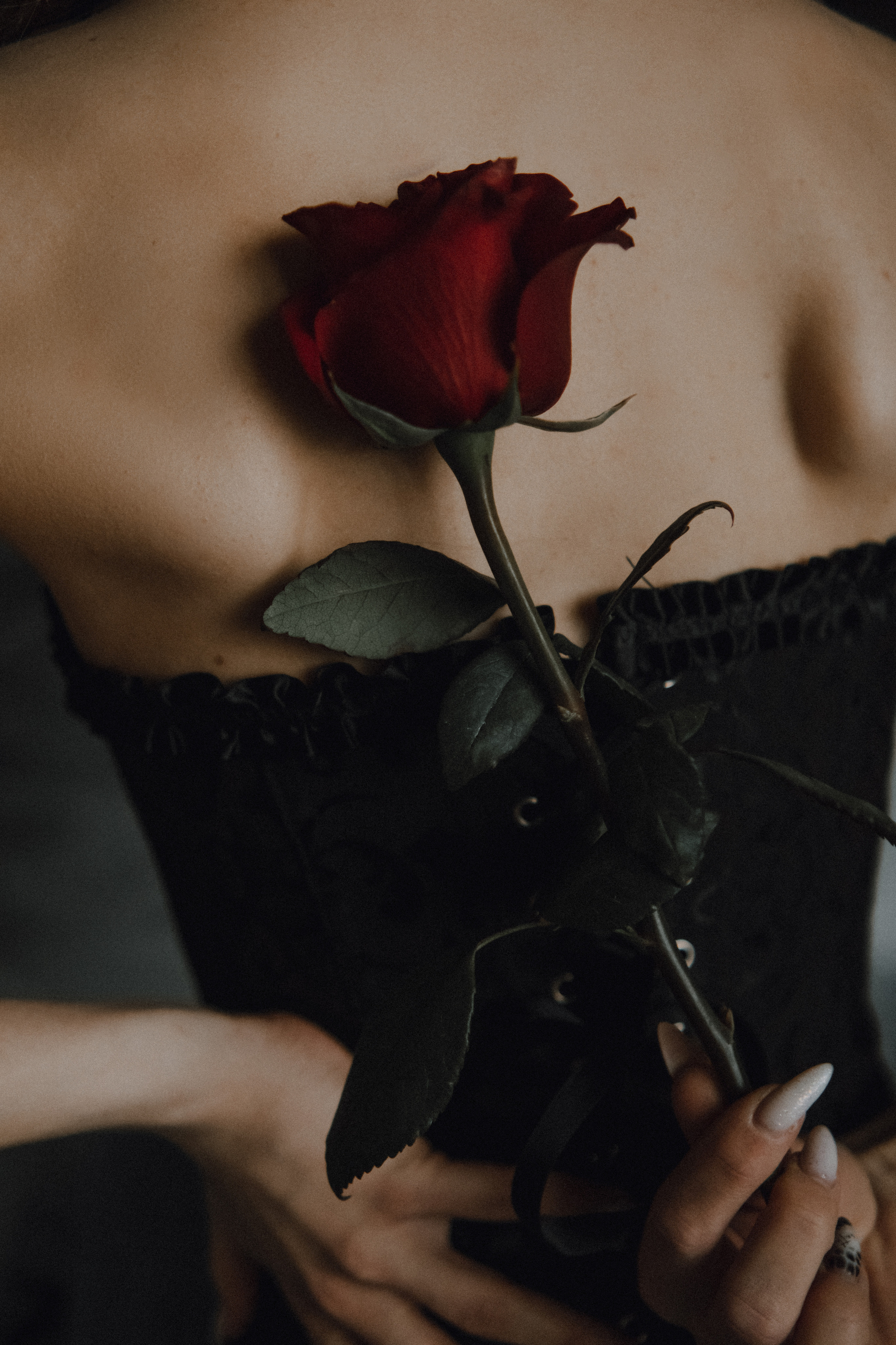 Ты беспощадна. Фотограф Валуйки, Белгородская область. Коробова Юля