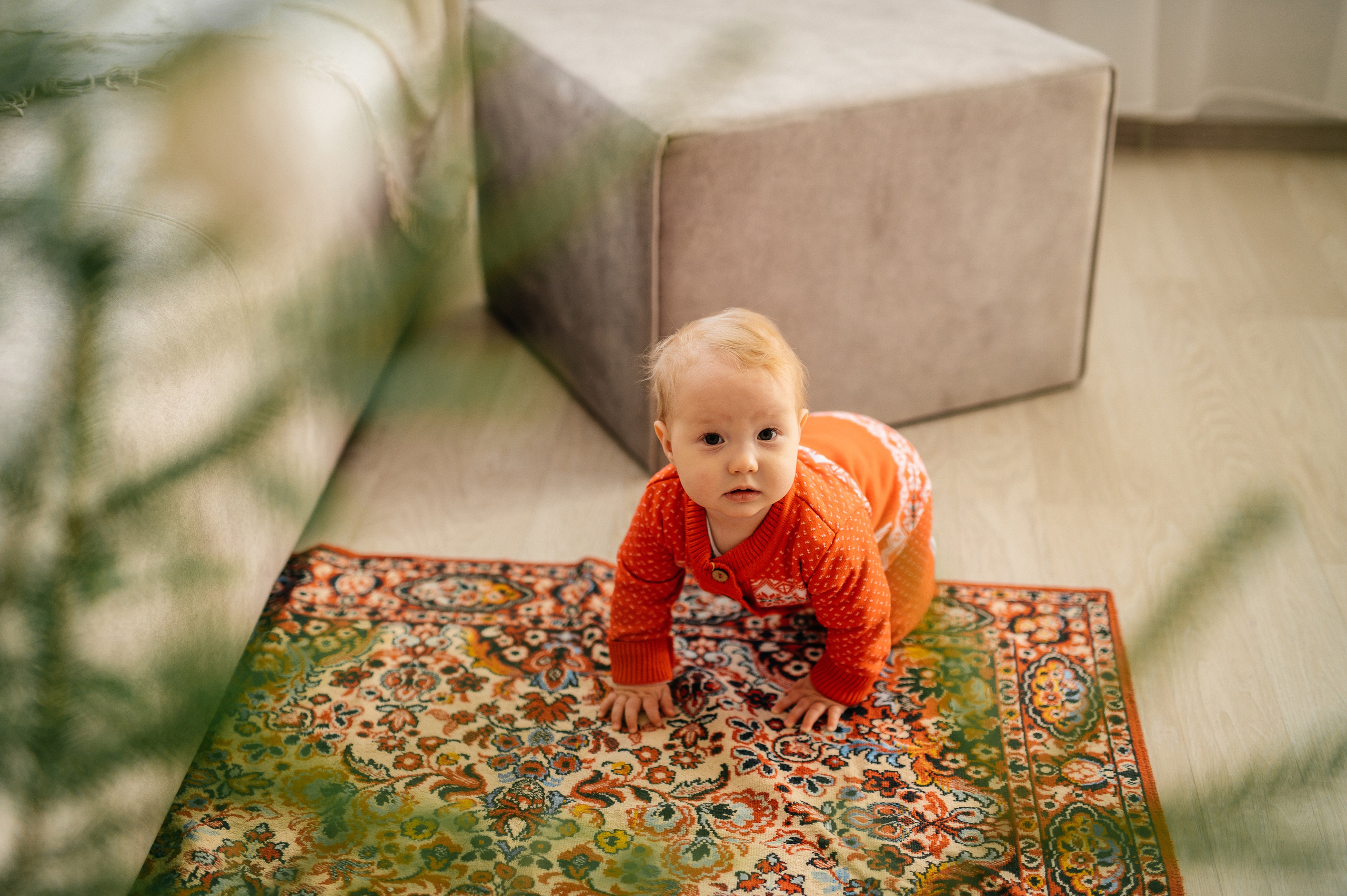 Новогодняя семейная фотосессия. Катя Курлович — семейный фотограф в Бобруйске и Минске