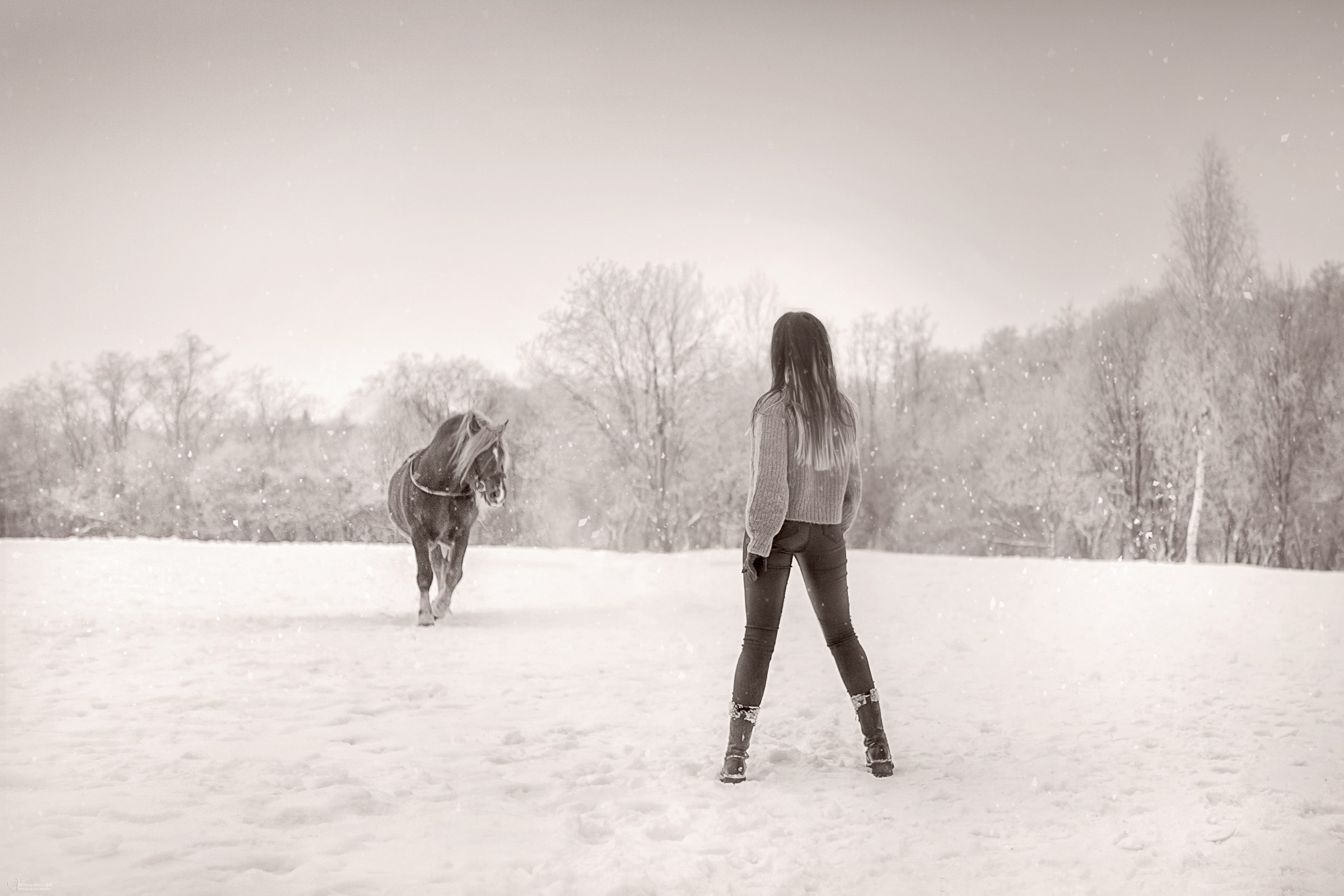 Фотосессии с лошадьми зимой. Фотограф женский и мужской портрет Санкт-Петербург