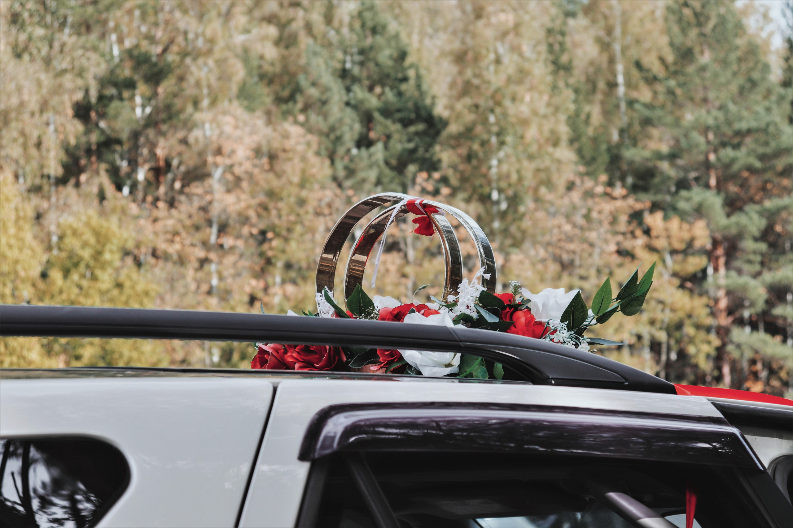 Свадебная фотосессия Томск. Свадебная фотосъёмка Томск. Фотограф в Томске Дарья Пучкина