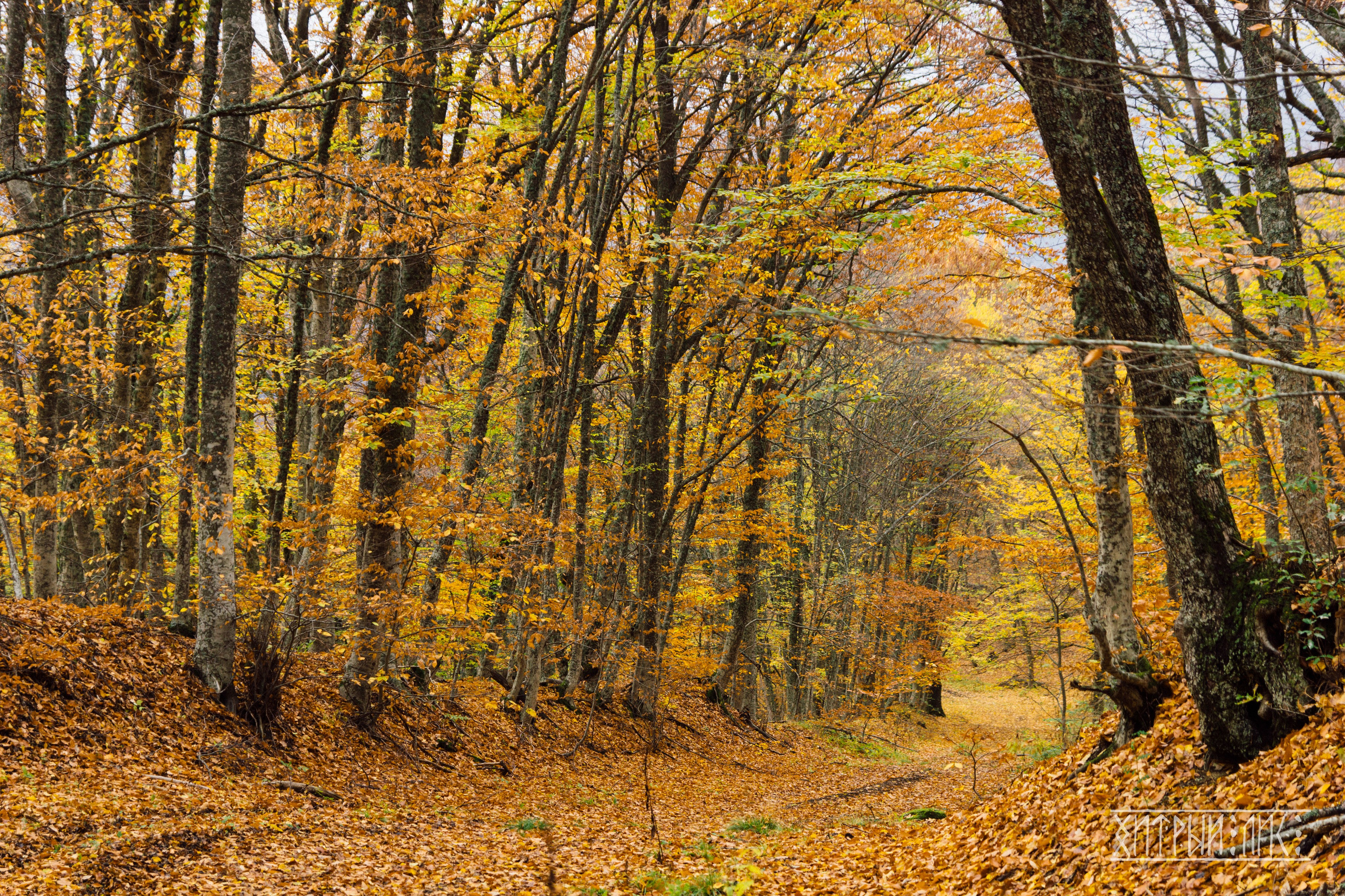 Крым. Фотограф-путешественник Самойлов Максим «Sly Fox»
