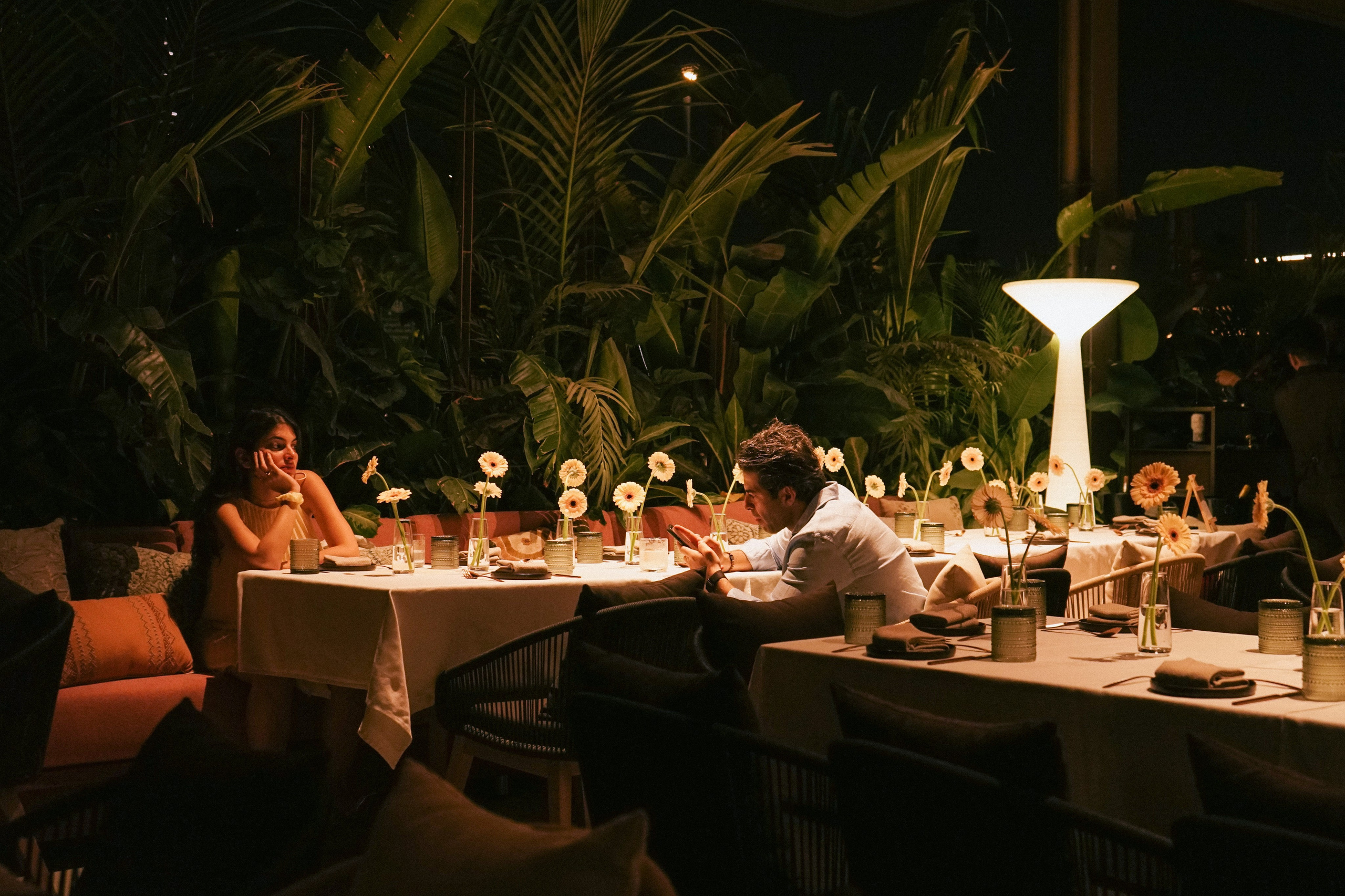 Wedding in Dubai. Photographer in Georgia UAE Russia Nekit Fox