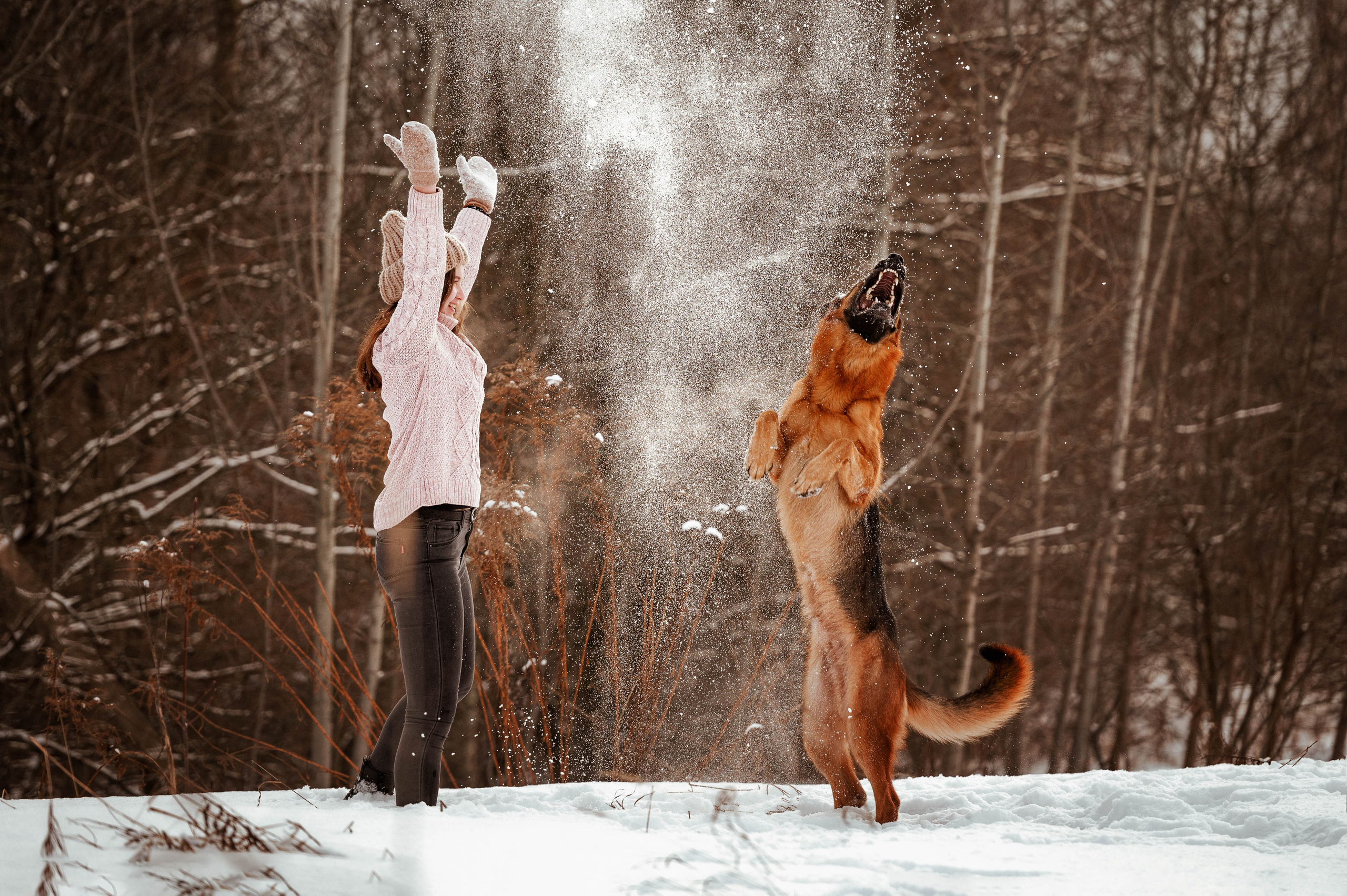 Вольт. Фотограф-анималист