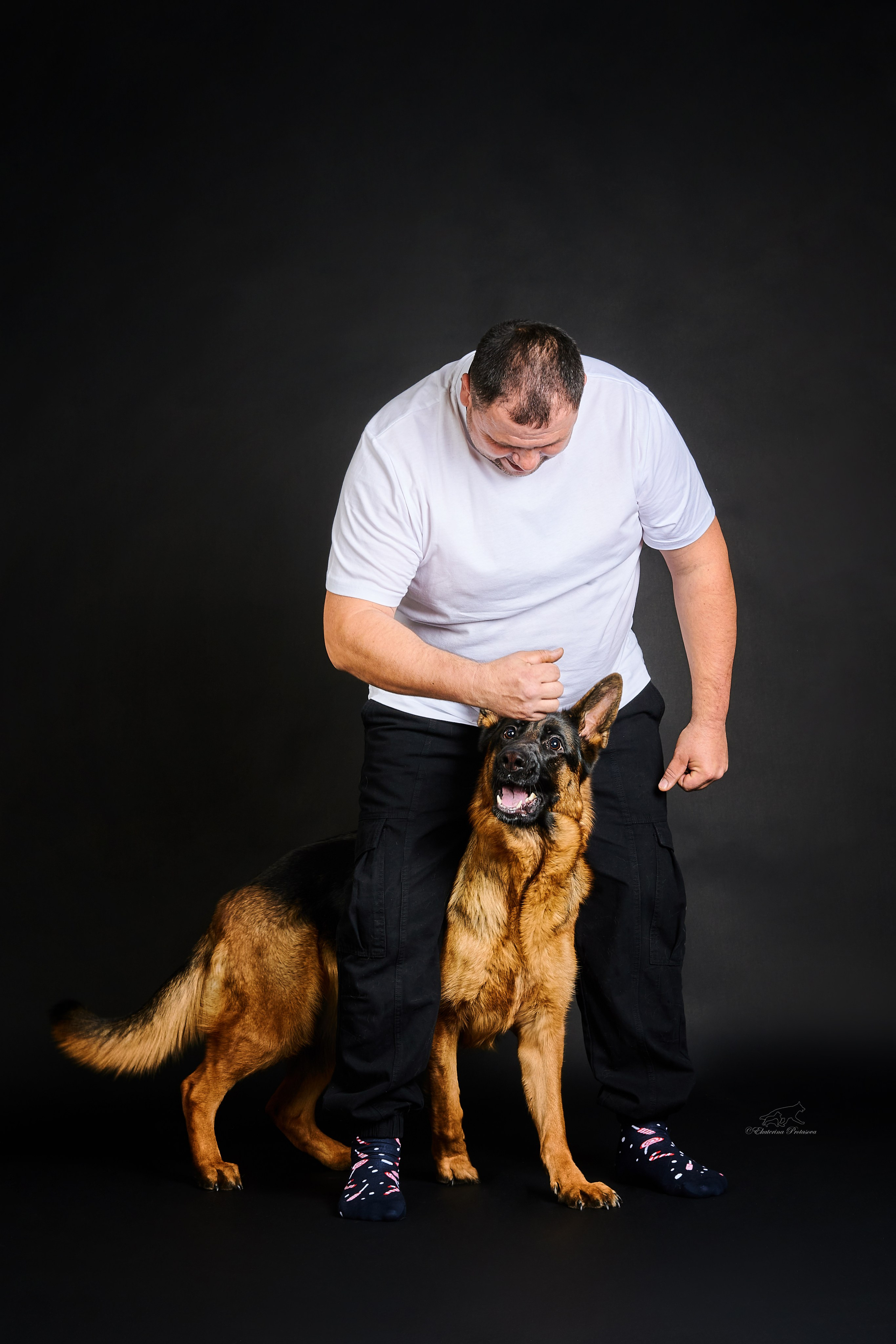 Немецкая овчарка Роми. Фотограф-анималист в Иркутске