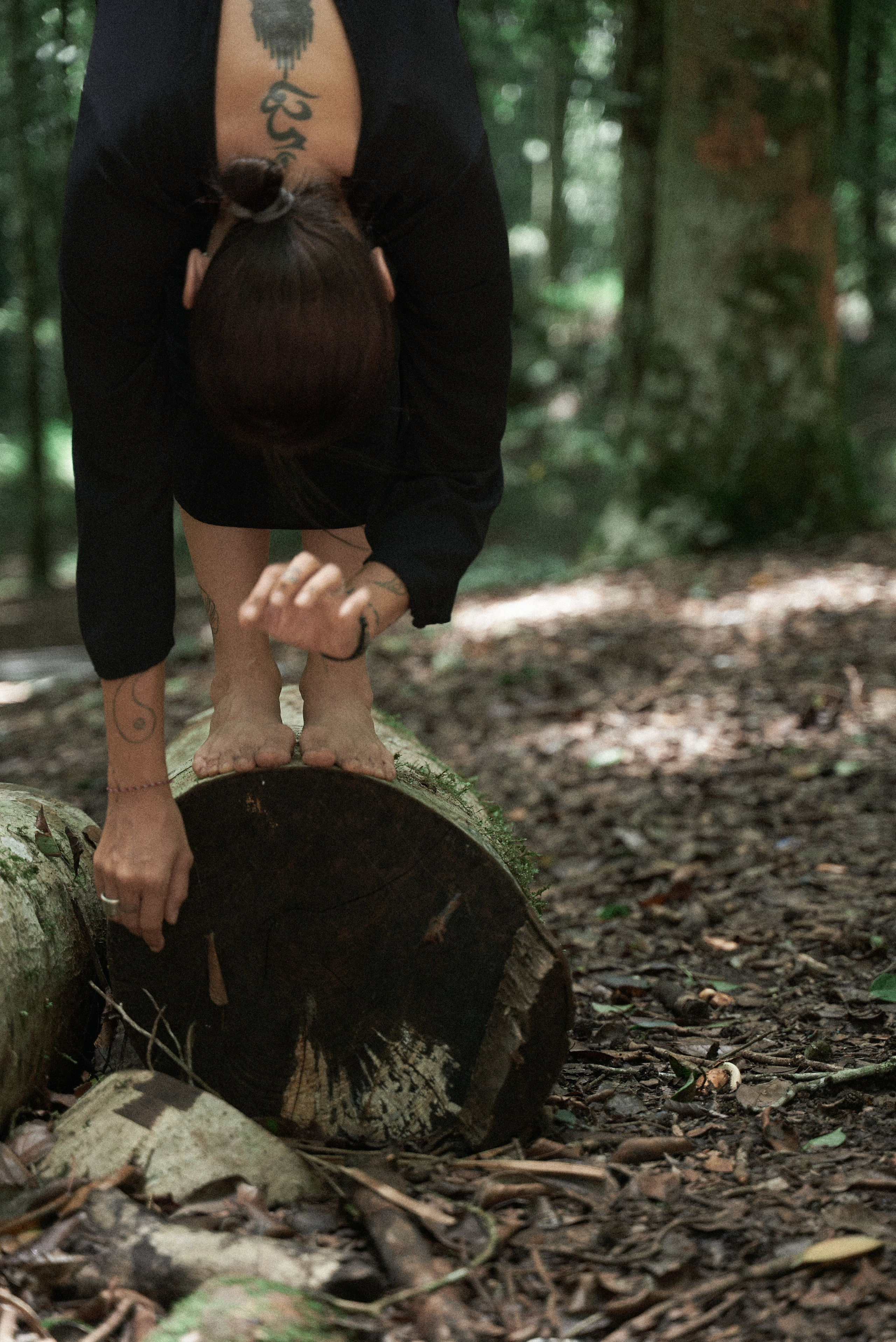 Julie nord garden. Главная