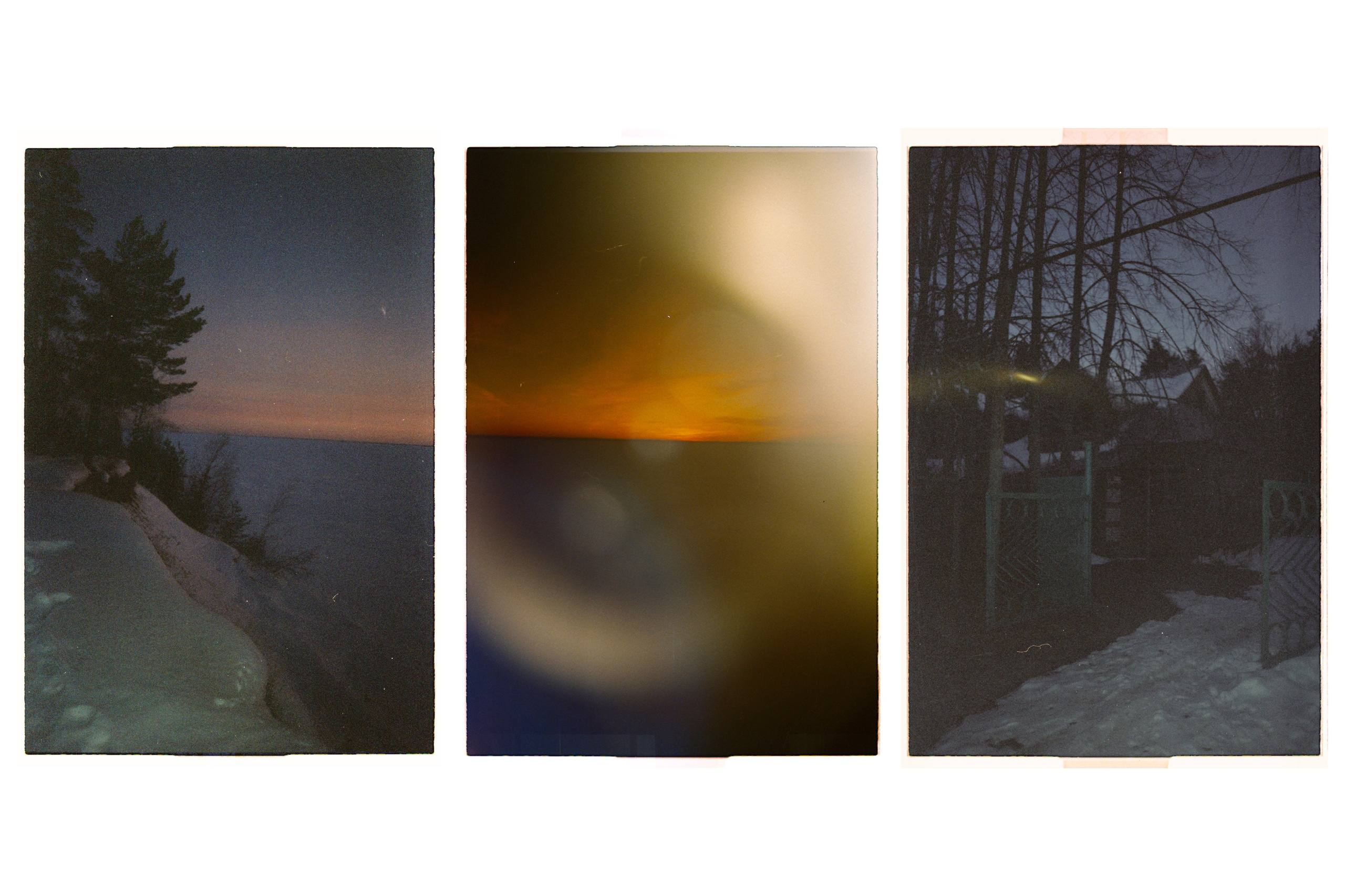 Пленка. Фотограф Синицына Анна