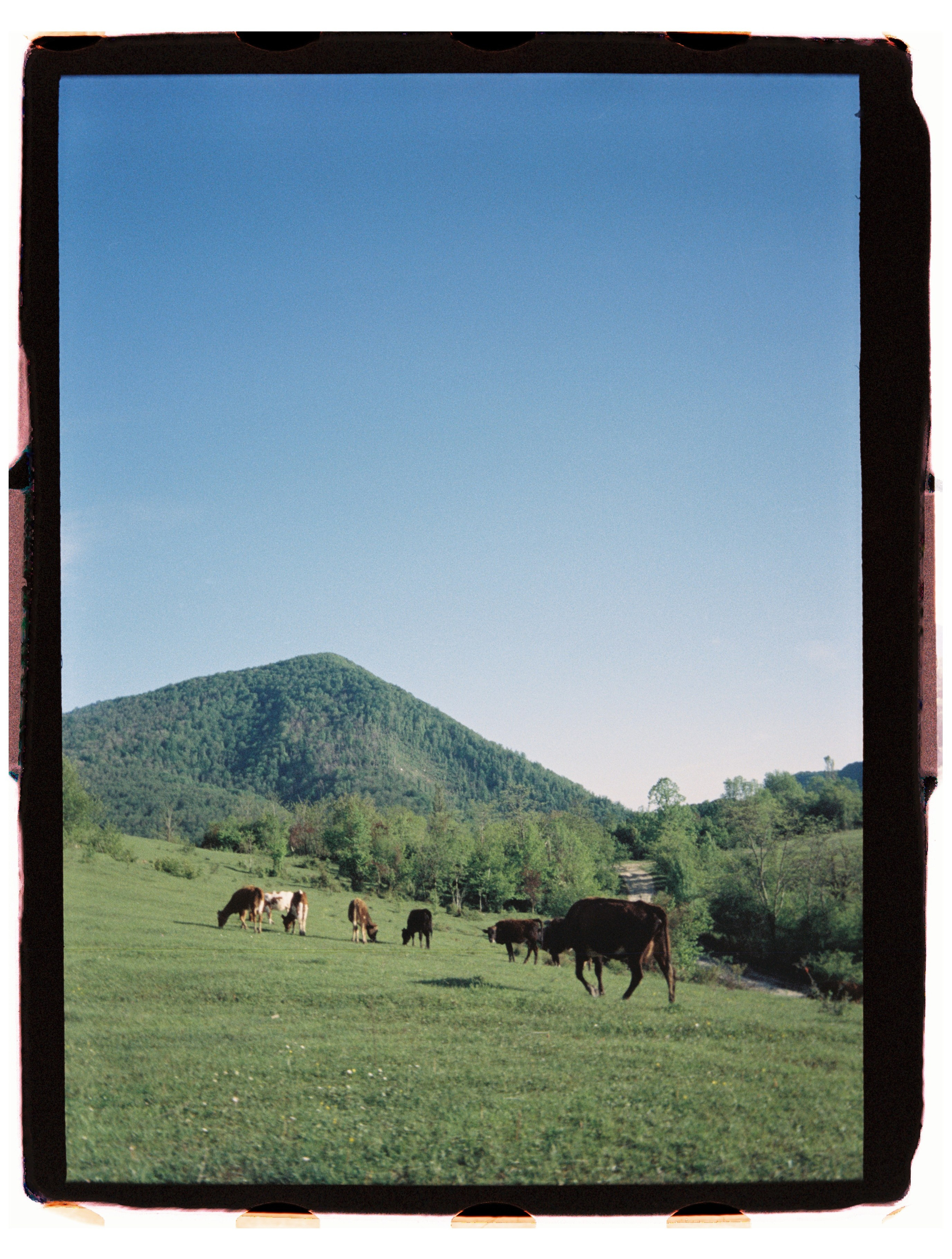 Юг. Профессиональный Фотограф во Владимире, в Москве и в Суздале — Полина Романычева
