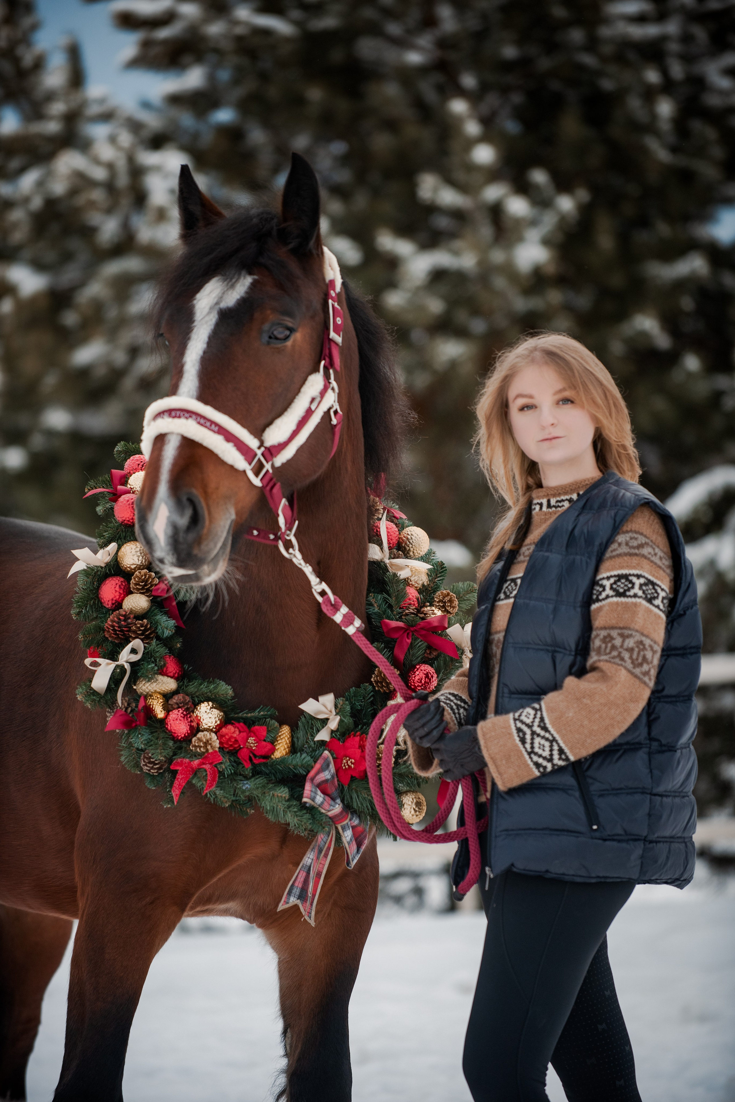 Зимний Настасьин табун. Куракина Дарья • Конный фотограф