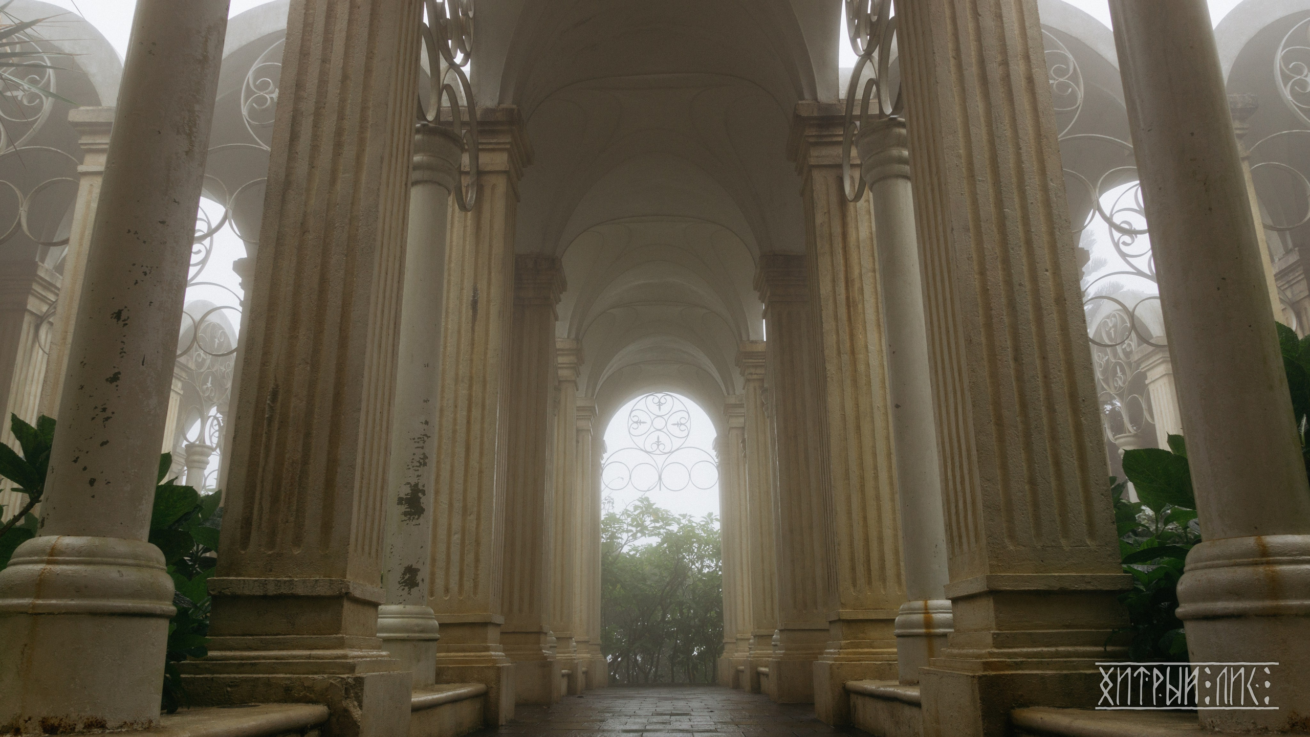 Вьетнам. Фотограф-путешественник Самойлов Максим «Sly Fox»